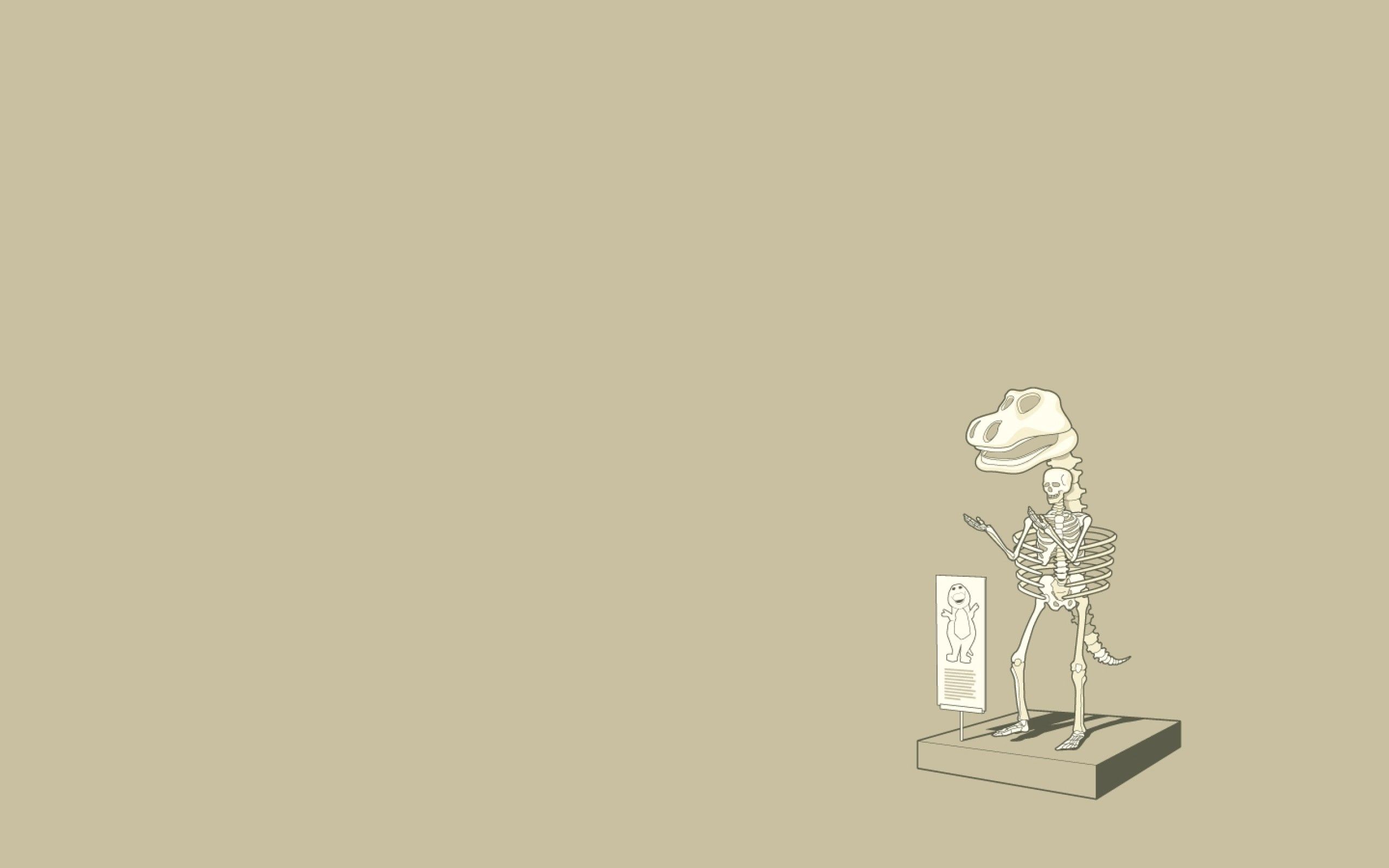 Mobile HD Wallpaper Skeleton 