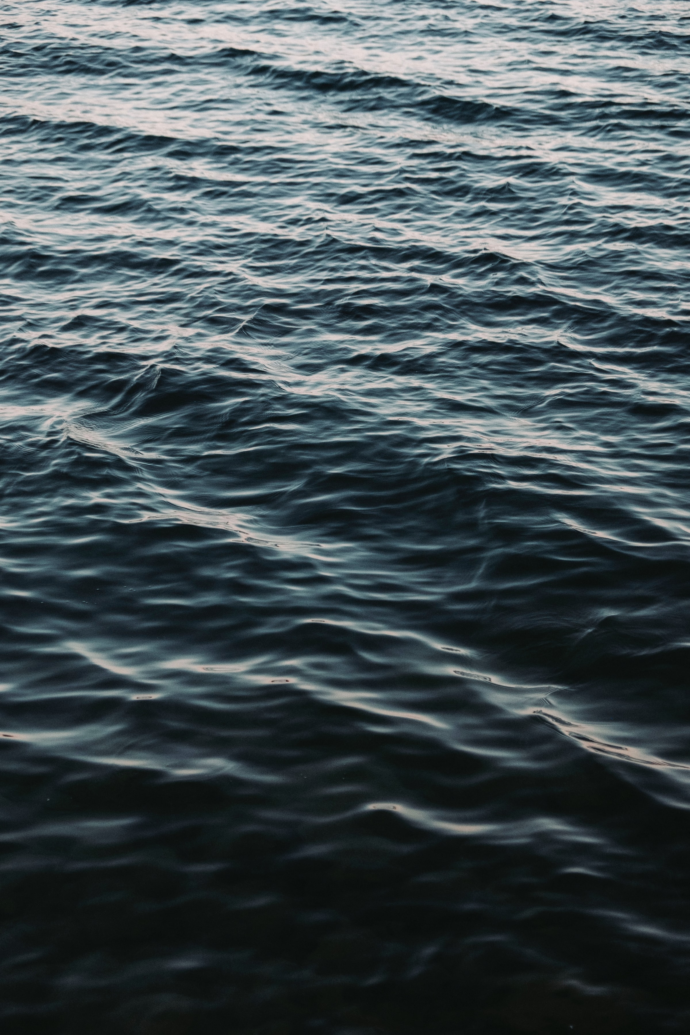 ripple, nature, waves, distortion Vertical Wallpapers