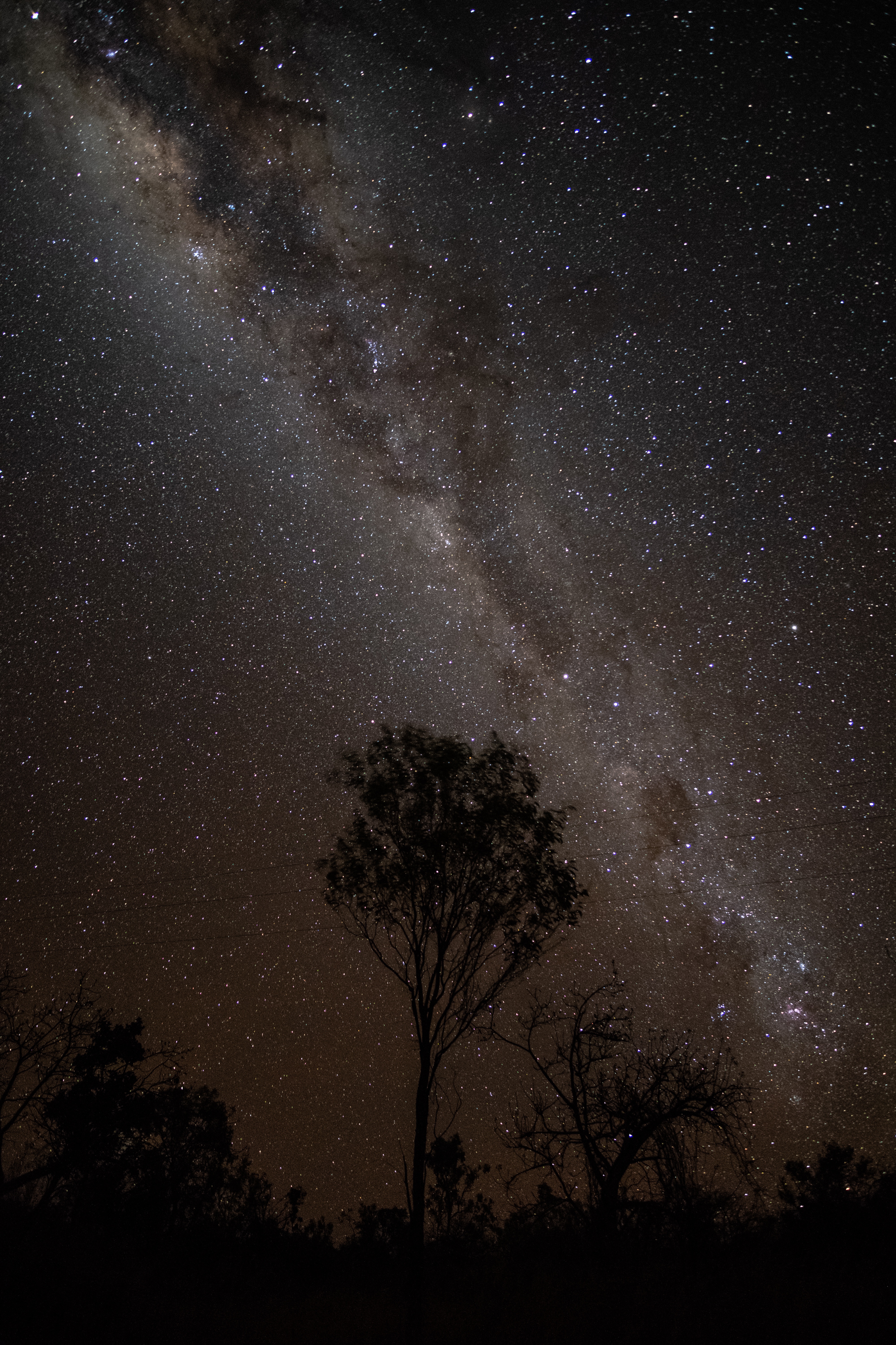 74614 Hintergrundbild herunterladen bäume, sterne, übernachtung, dunkel, sternenhimmel, die milchstrasse, milchstraße, umrisse, umreißt - Bildschirmschoner und Bilder kostenlos