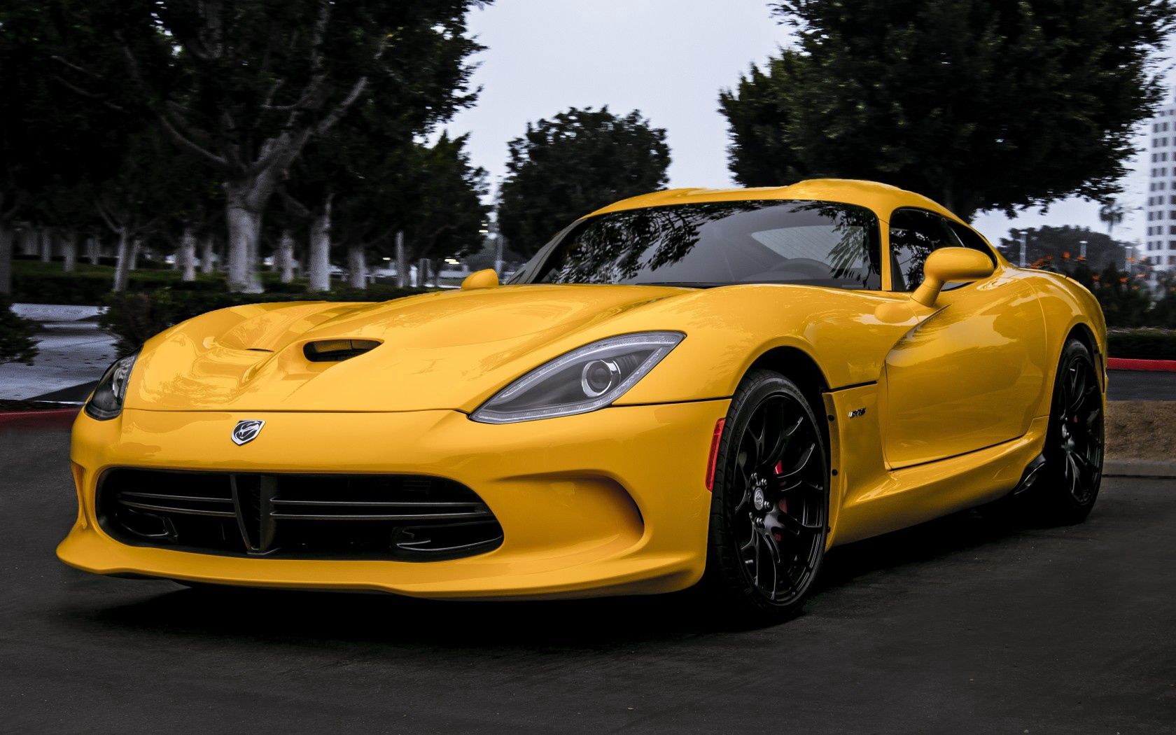 vertical wallpaper trees, cars, yellow, front view, dodge, viper