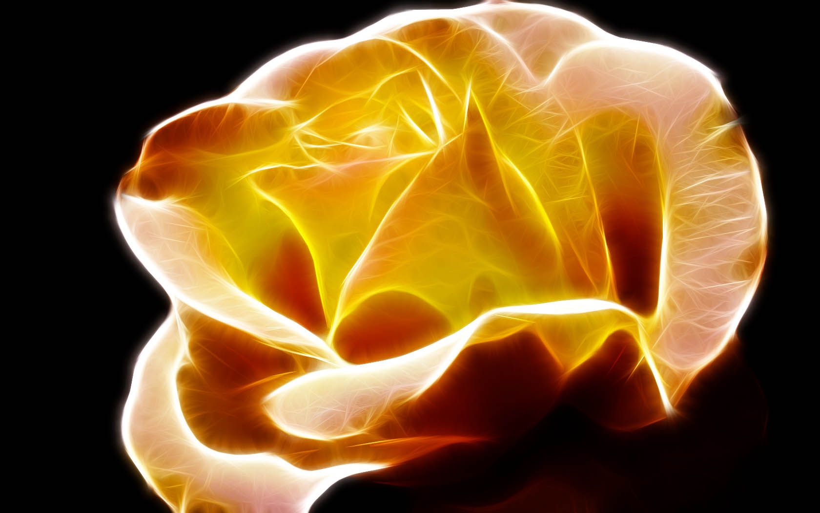 artistic, flower, fractal, orange (color), petal, rose, flowers phone background