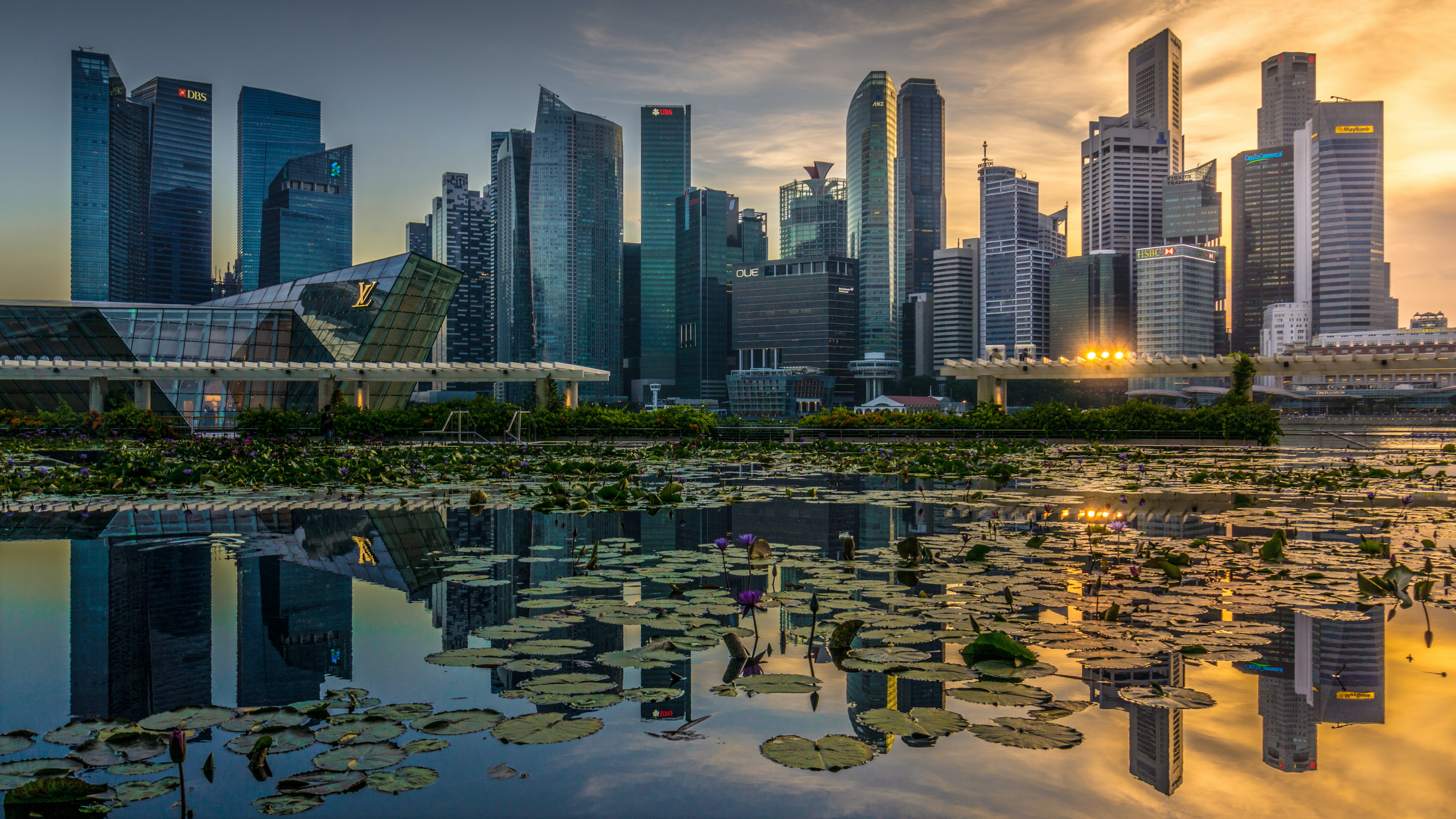 water lily, cities, architecture, city, building, reflection, skyscrapers