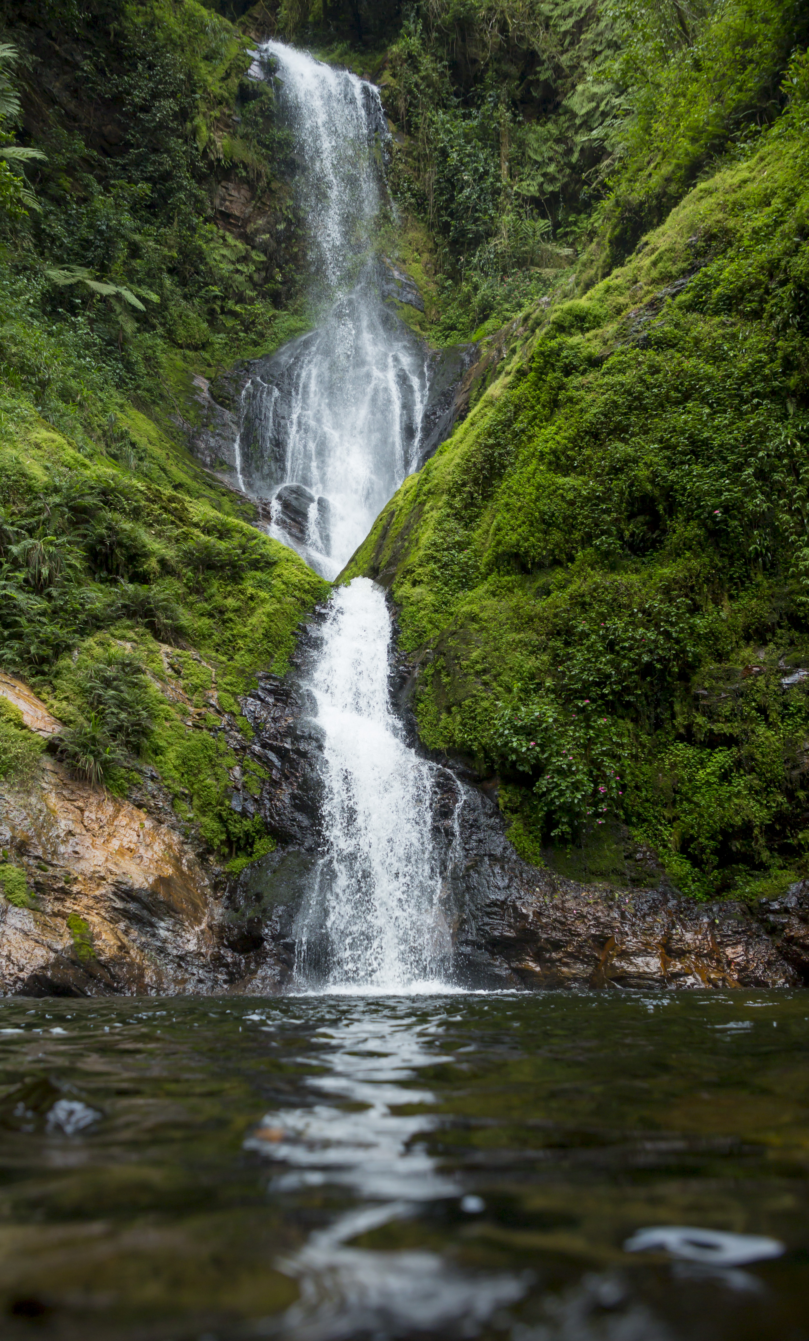 Laden Sie das Flüsse, Natur, Wasser, Wasserfall, Grüne, Grünen, Moss, Moos-Bild kostenlos auf Ihren PC-Desktop herunter
