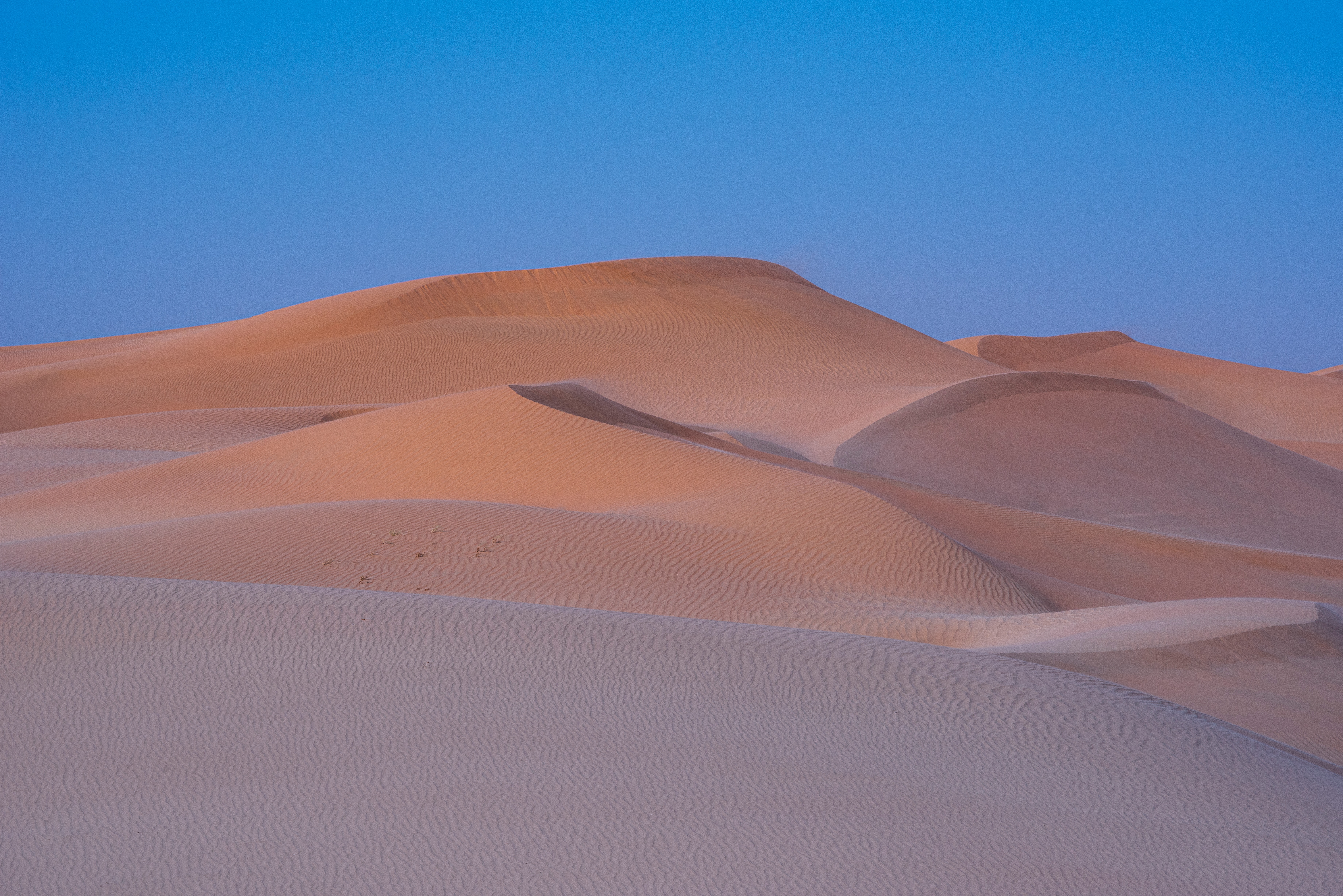 62167 Заставки и Обои Пустыня на телефон. Скачать дюна, песок, природа картинки бесплатно
