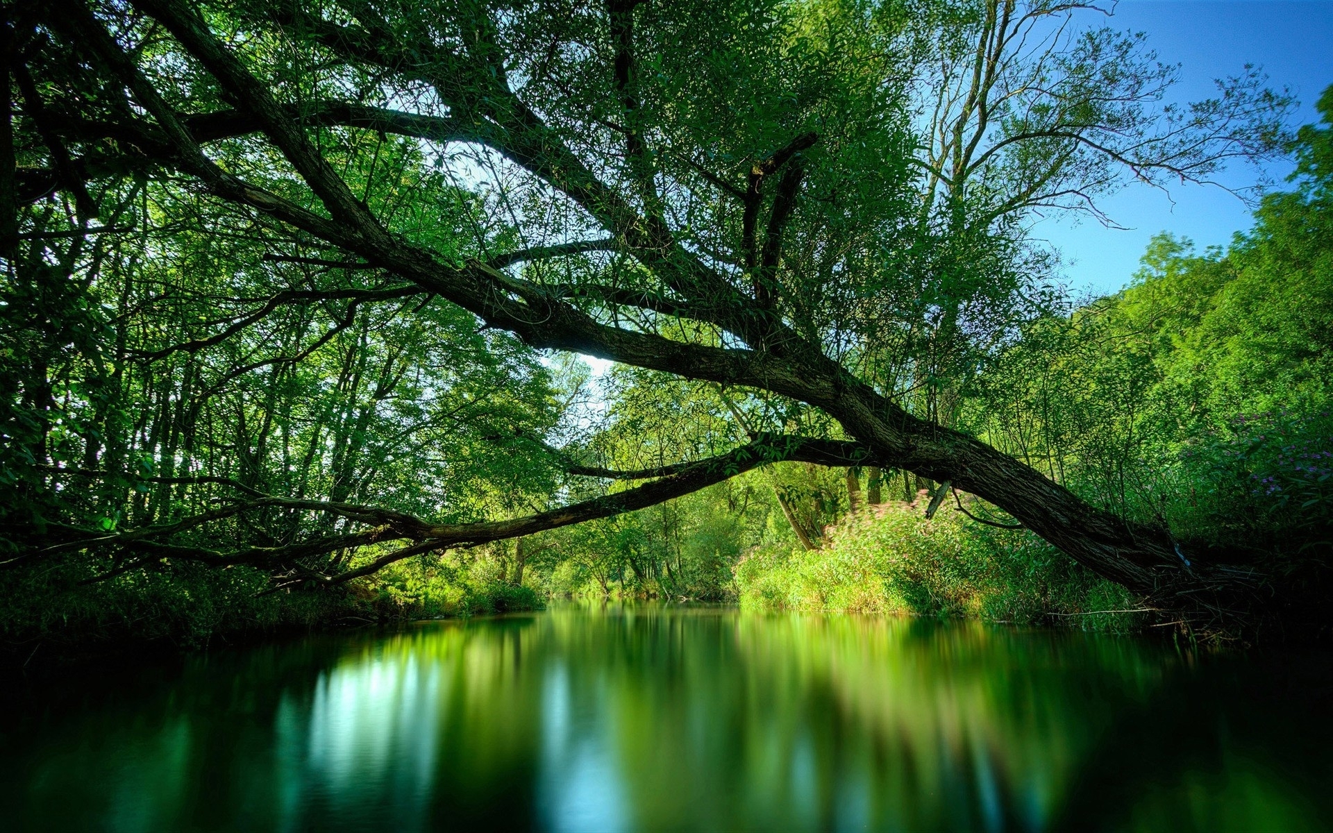 Laden Sie das Flüsse, Landschaft, Bäume-Bild kostenlos auf Ihren PC-Desktop herunter