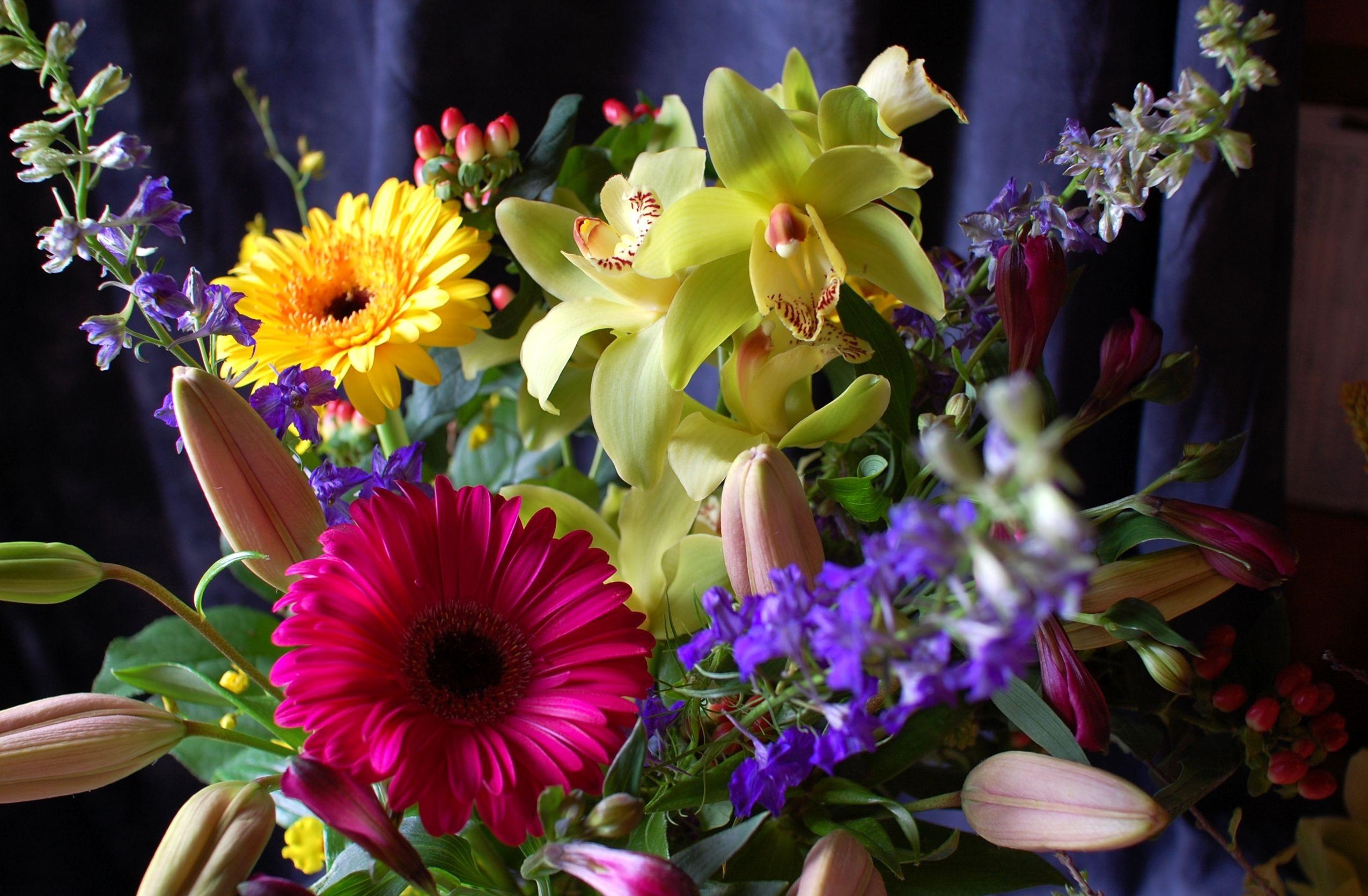 bouquet, typography, flowers, gerberas Full HD