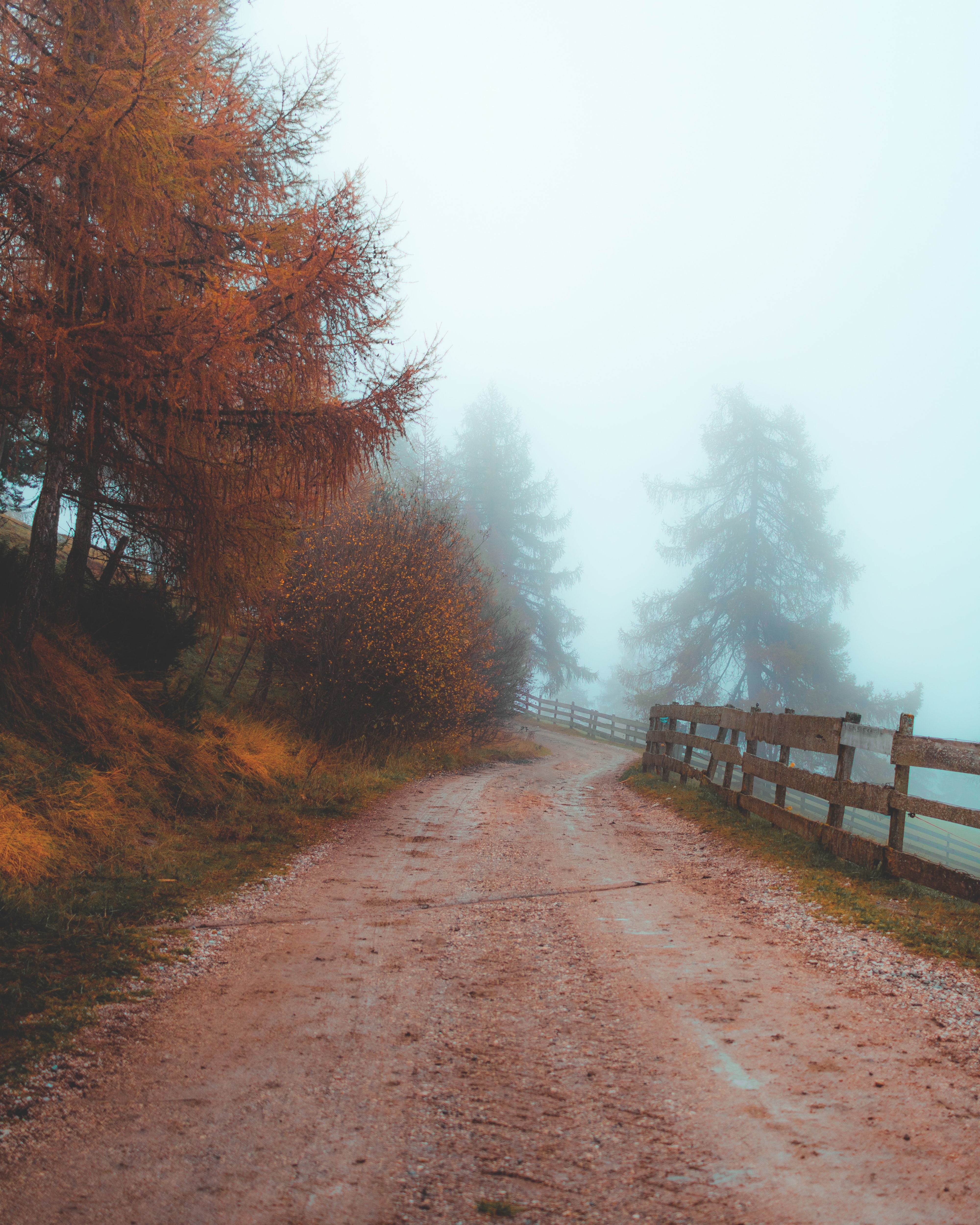 nature, road, fog, fence, dahl, distance lock screen backgrounds