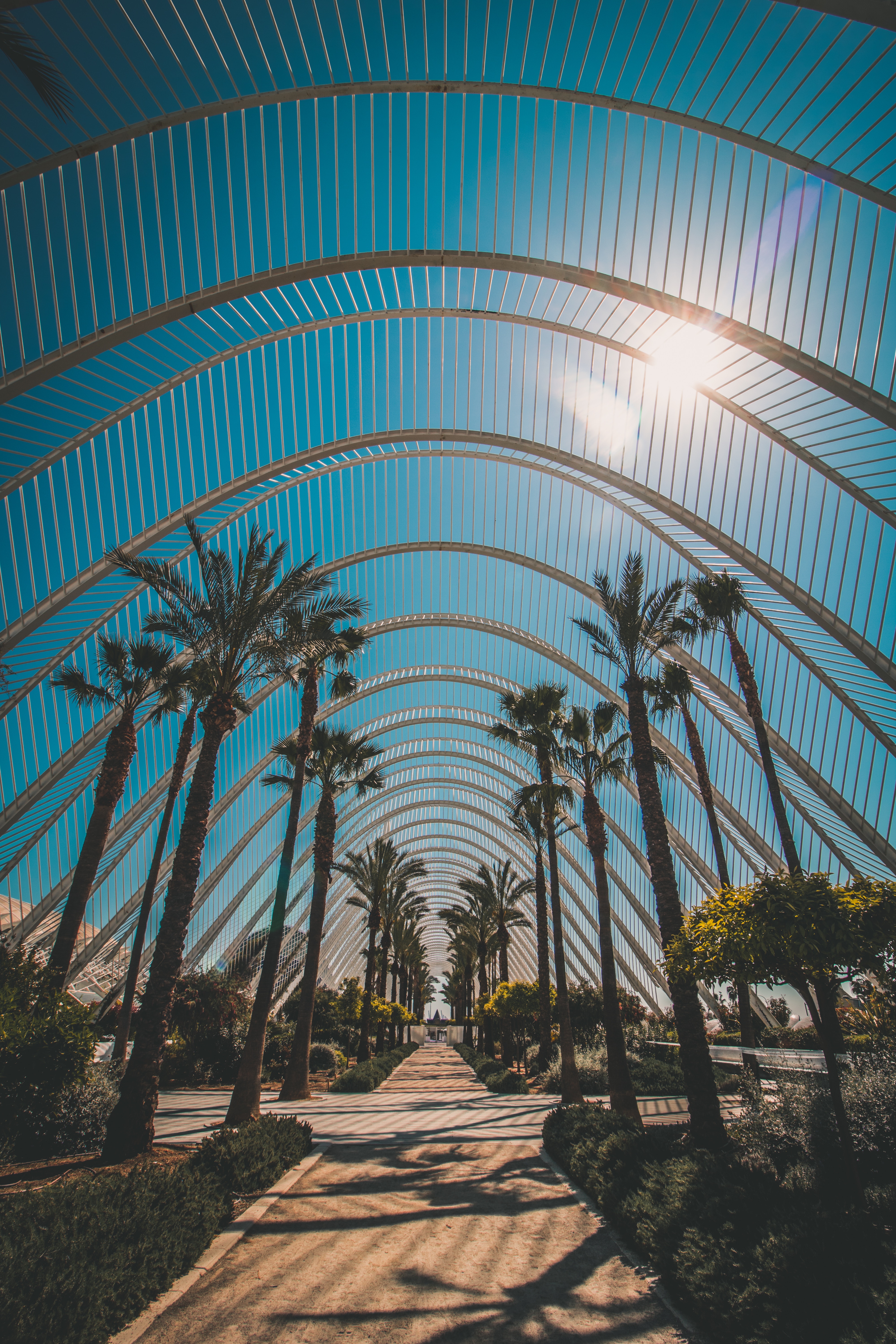 construction, design, sunlight, palms Panoramic Wallpapers