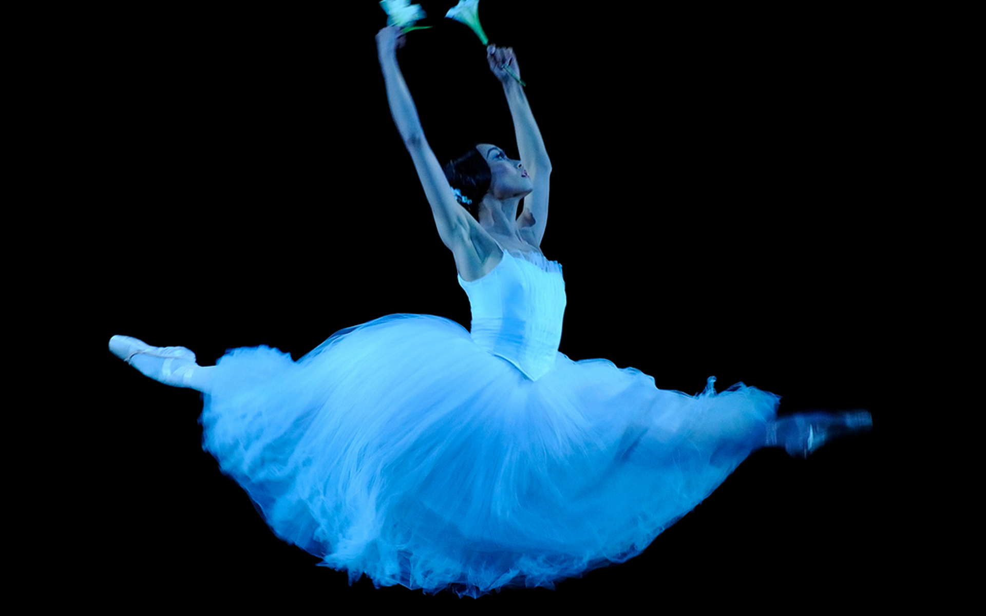 Fondos de pantalla de Ballet para escritorio, descarga gratis imágenes y  fondos de Ballet para PC 