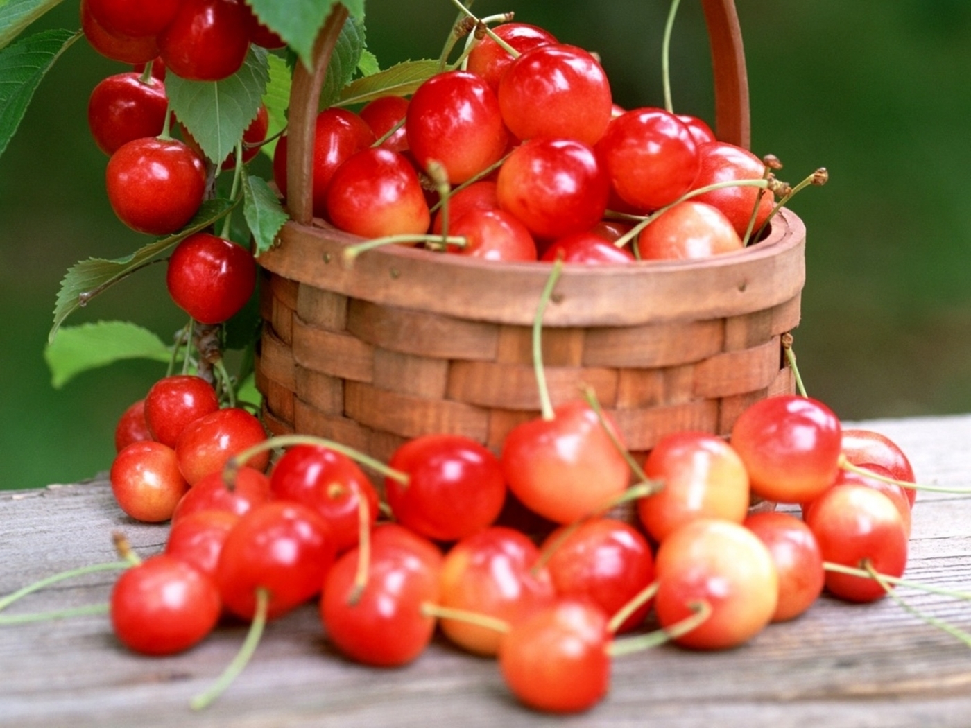 food, fruits Sweet Cherry HQ Background Images