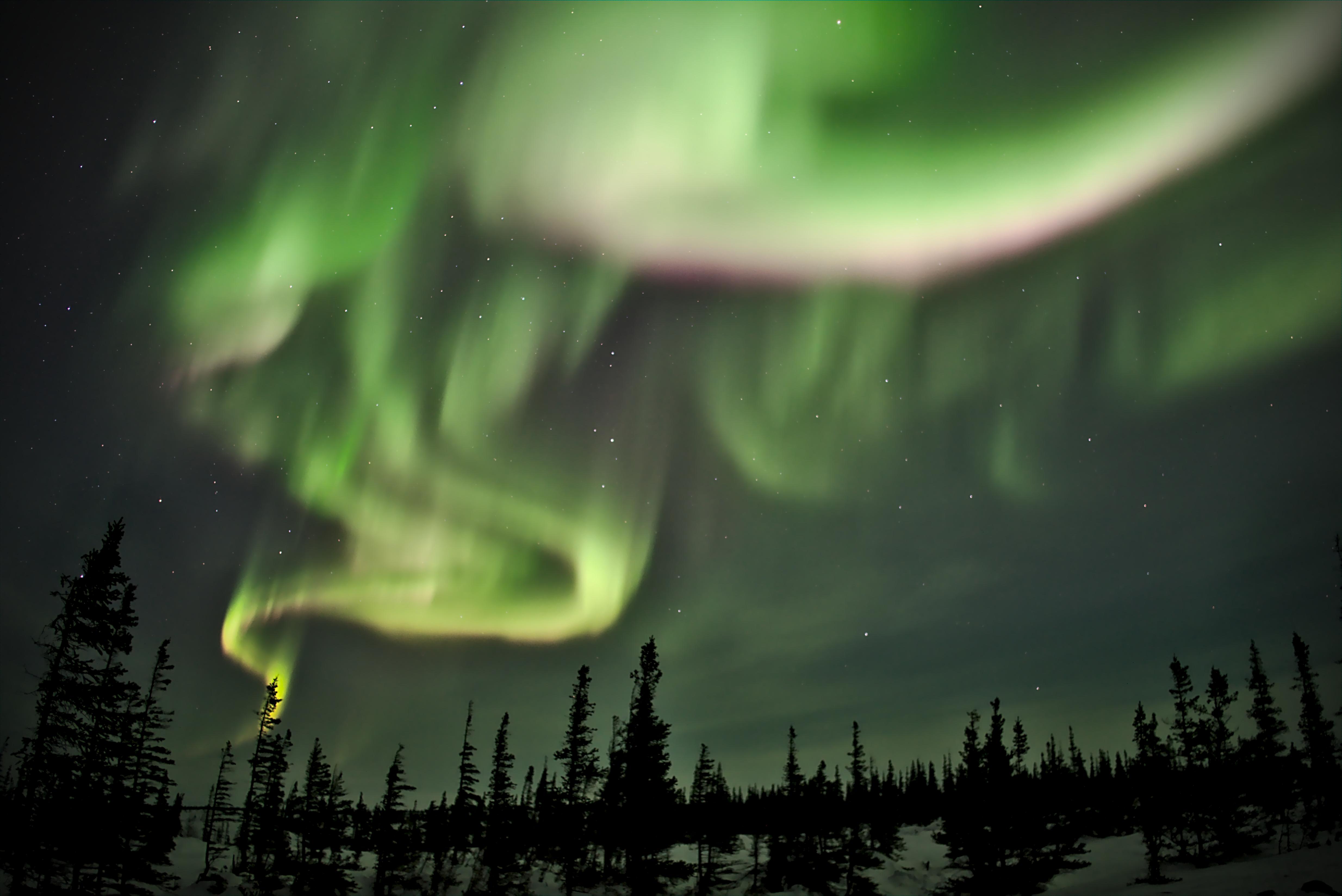 127463 Hintergrundbild herunterladen nordlichter, natur, bäume, übernachtung, schein, fichte, fir, aurora borealis - Bildschirmschoner und Bilder kostenlos