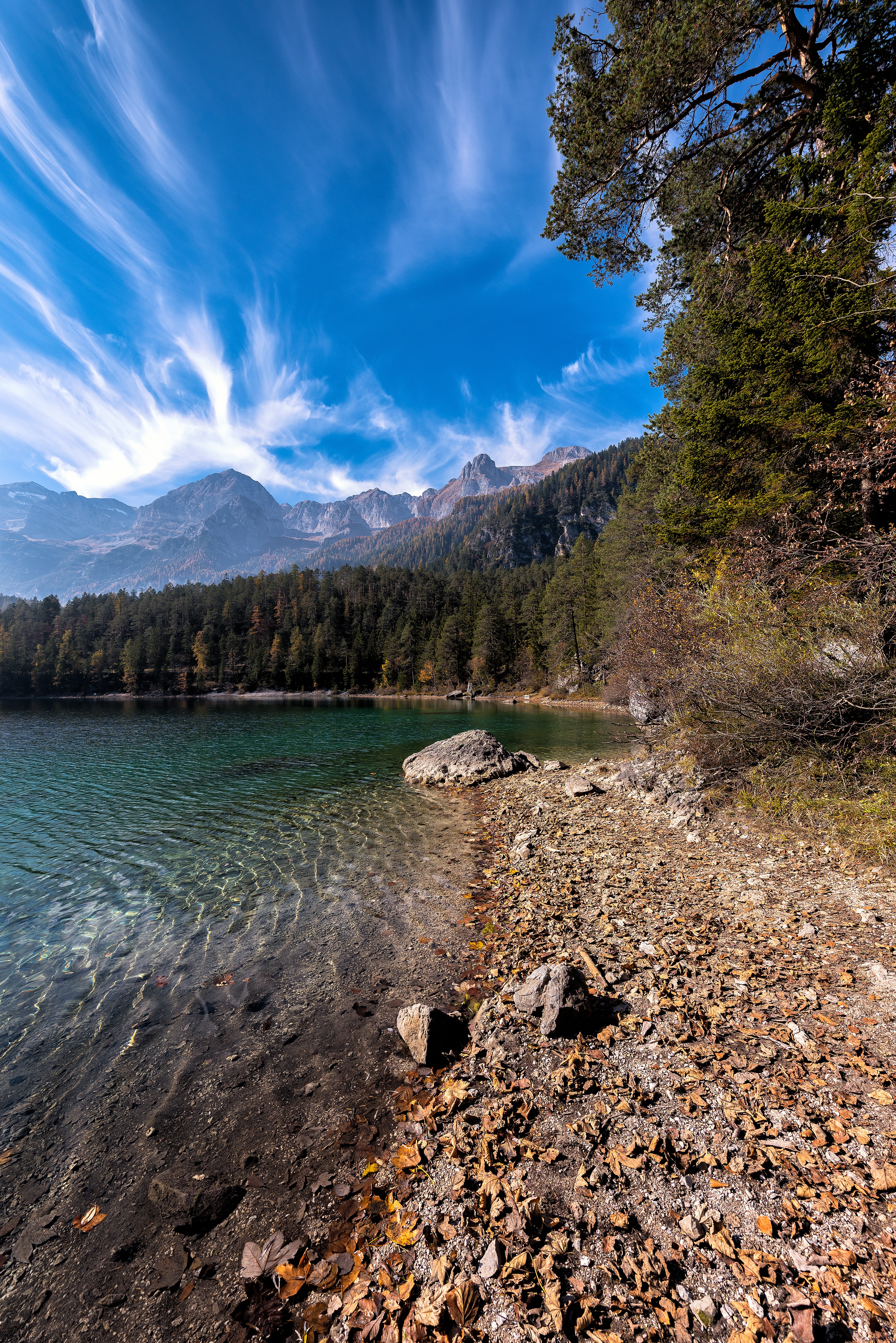 mountains, nature, lake, forest Panoramic Wallpapers