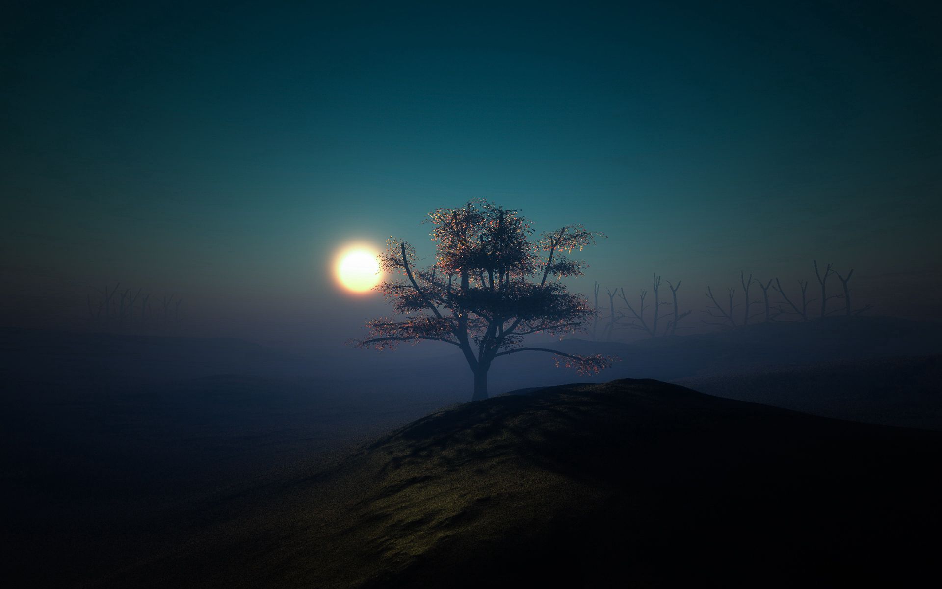 wood, light, nature, sunset, night, shine, tree, hillock High Definition image