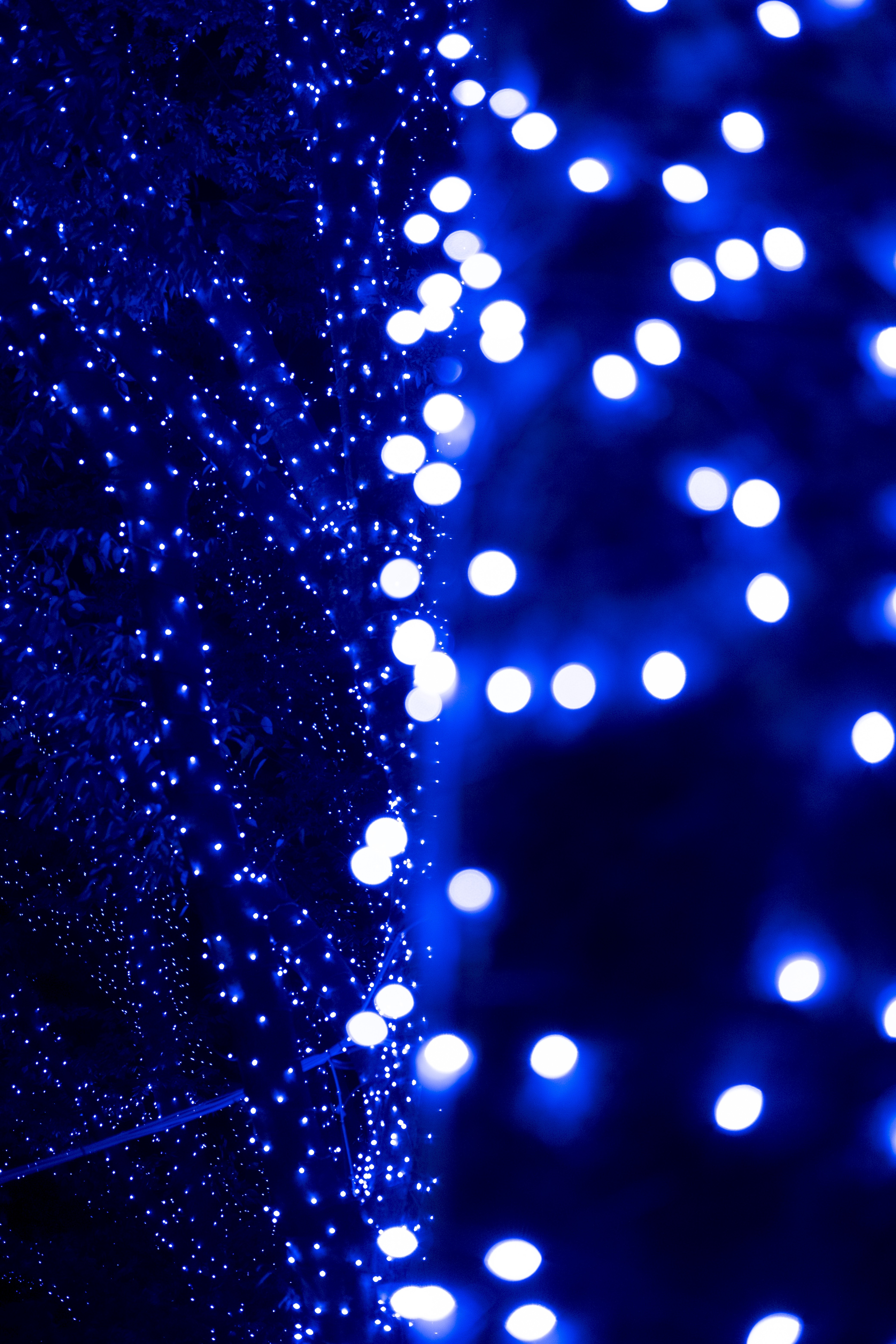 point, blue, glare, shine, light, miscellanea, miscellaneous, points, garland, bokeh, boquet wallpapers for tablet
