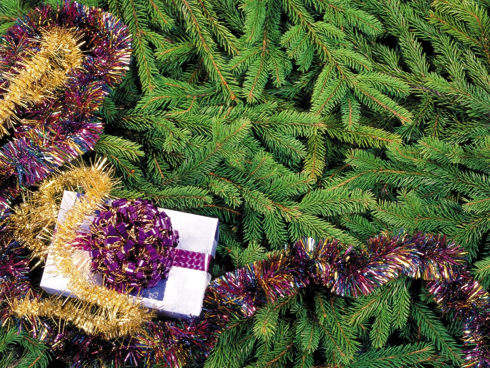 10815 скачать обои елки, новый год (new year), праздники, рождество (christmas, xmas), зеленые - заставки и картинки бесплатно
