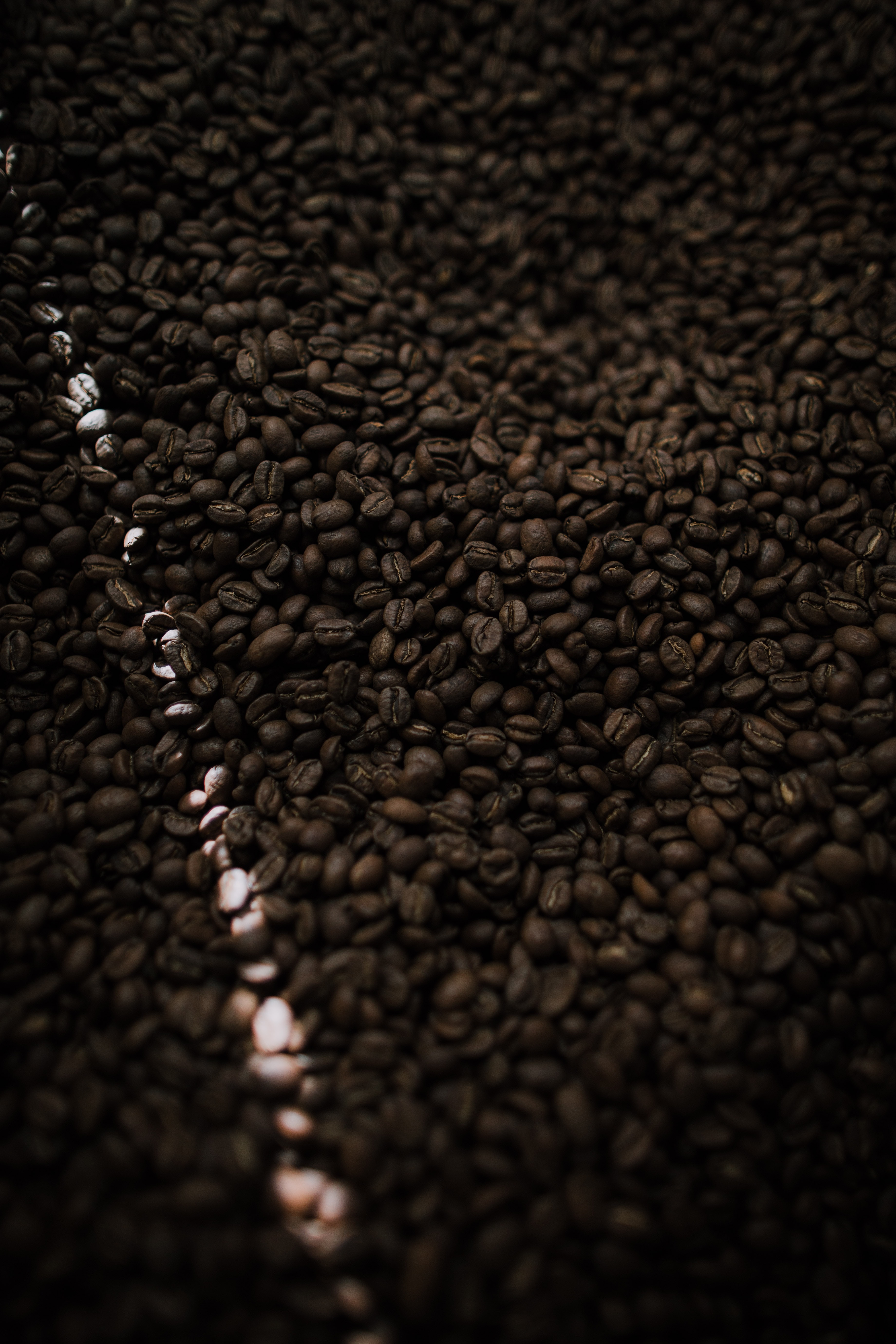 coffee beans, food, coffee, ray phone background