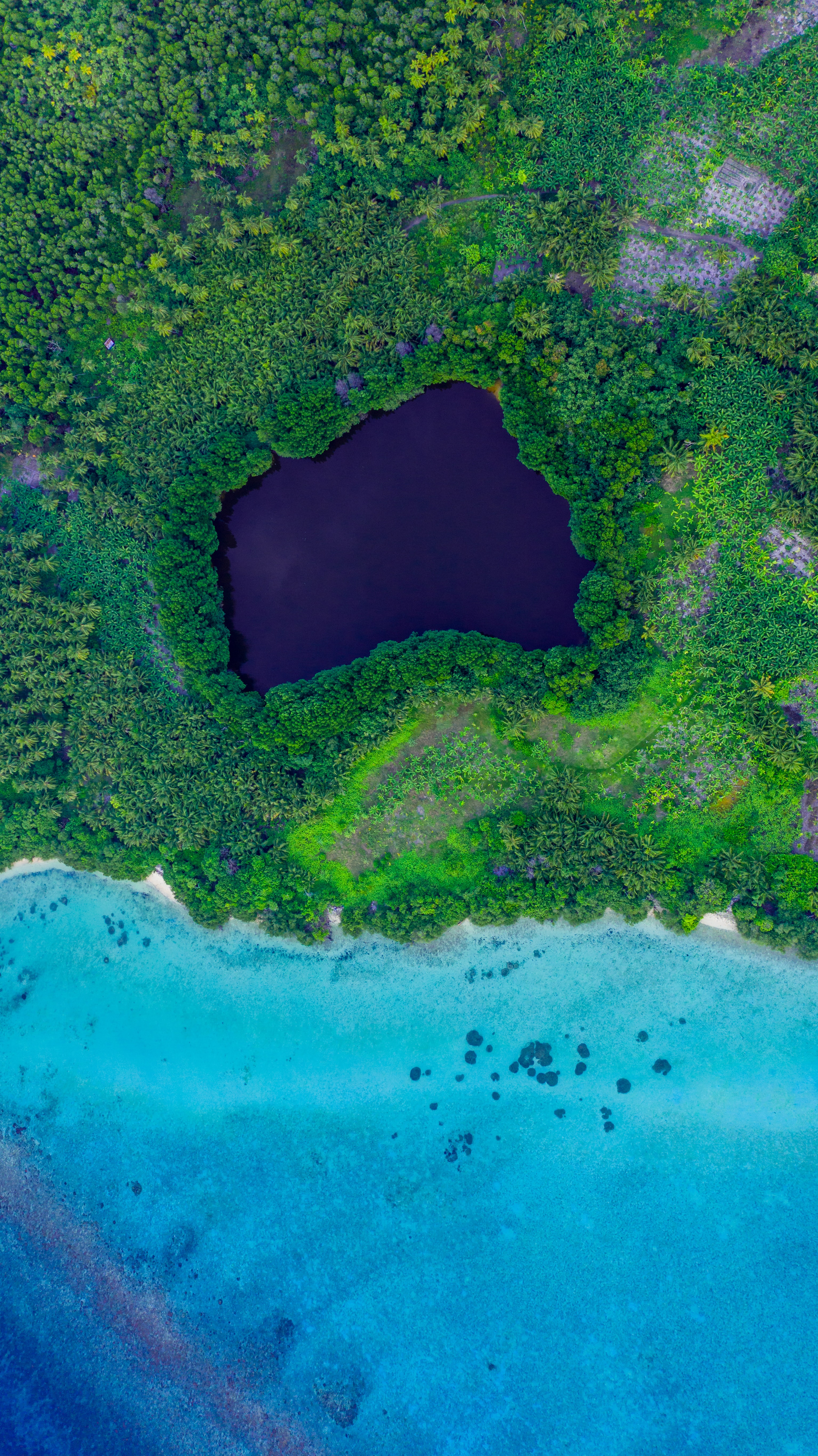 Laden Sie das Natur, Sea, Blick Von Oben, Küste, Die Insel, Insel, Lagune-Bild kostenlos auf Ihren PC-Desktop herunter