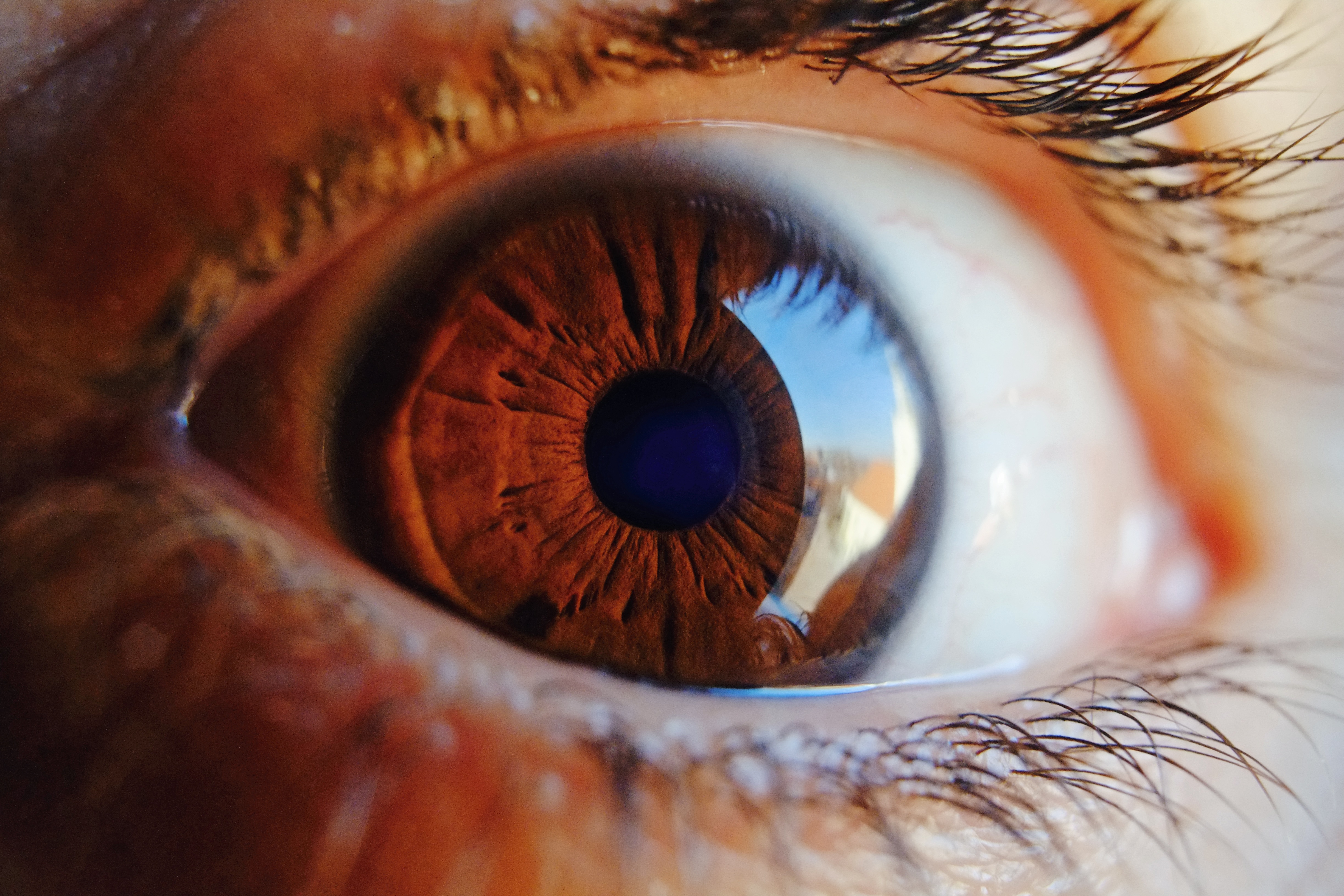 close-up, glare, pupil, eye Free HD pic