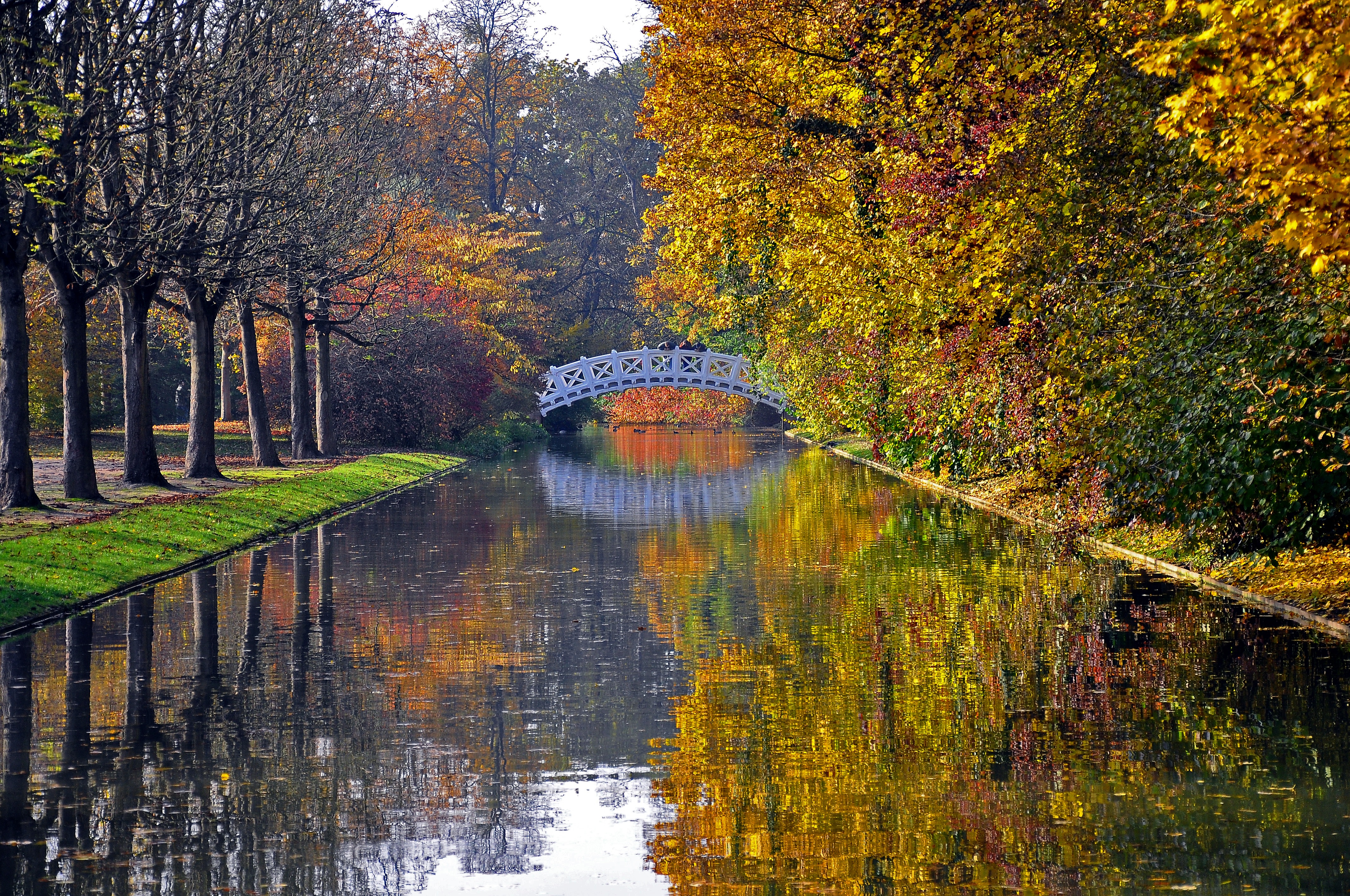 rivers, bridge, autumn, nature, trees, reflection, park