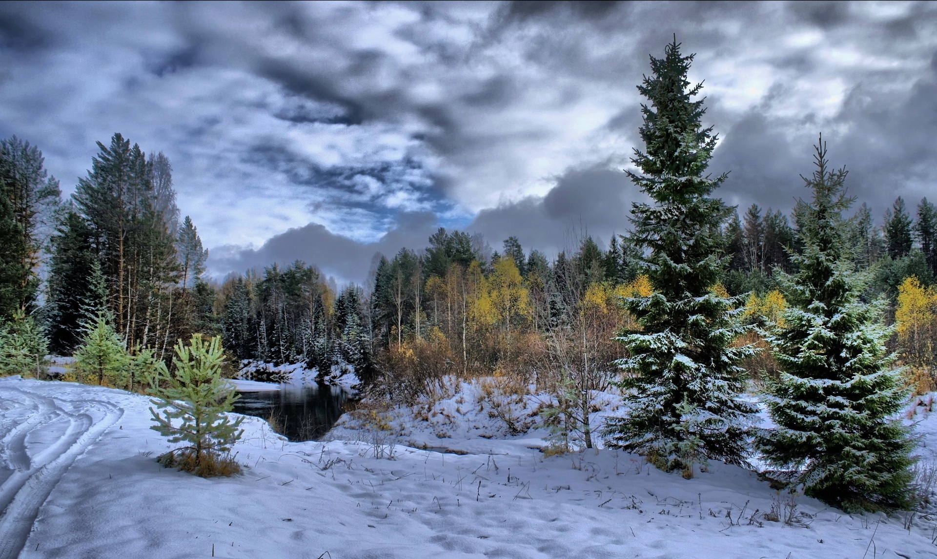 trees, winter, nature, clouds, snow, mainly cloudy, overcast, traces, ate, protector, tread Full HD