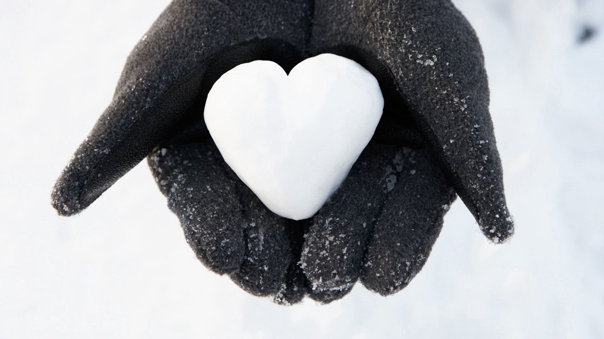 snow, love, hands, heart Square Wallpapers