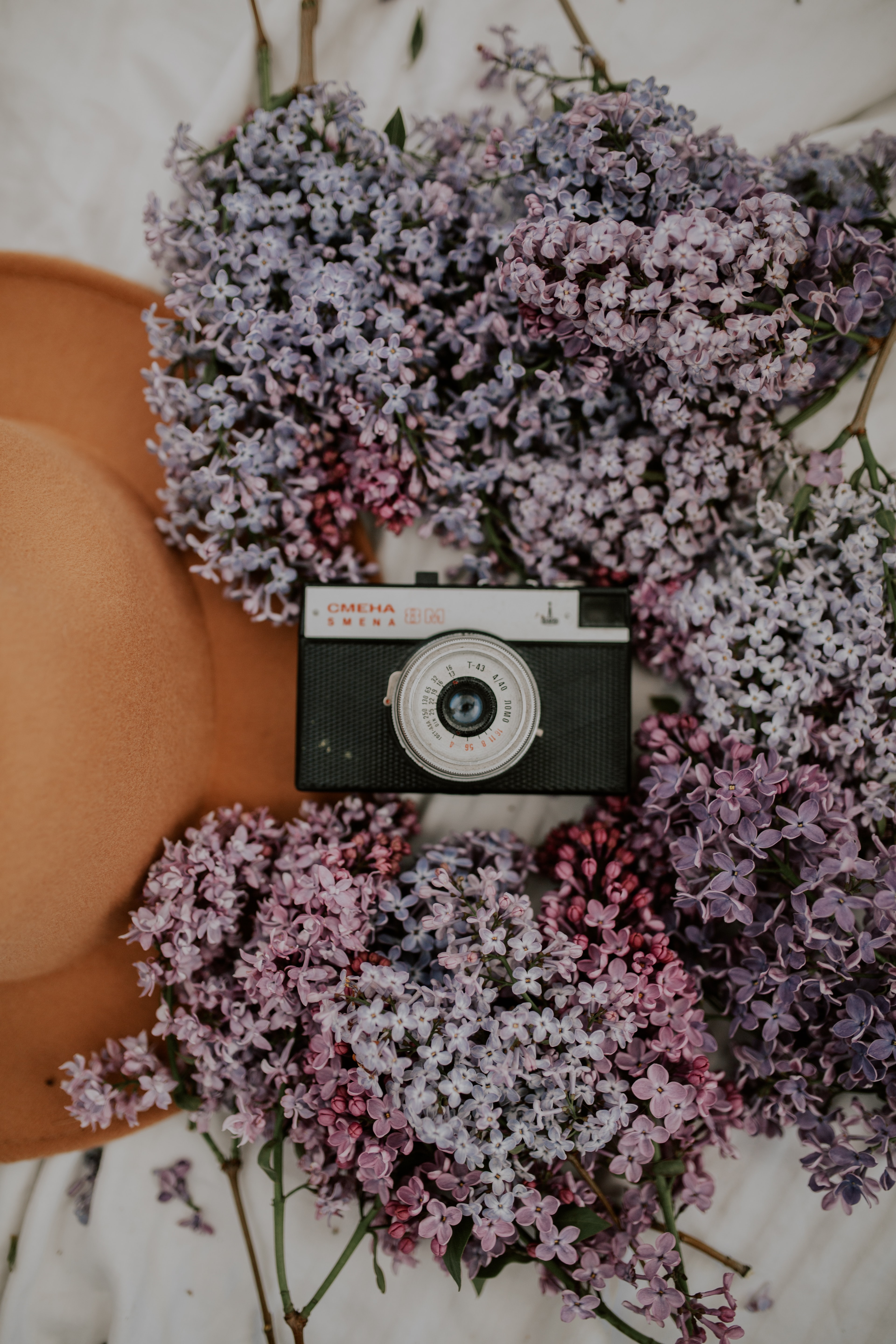 Widescreen image hat, lilac, camera, flowers