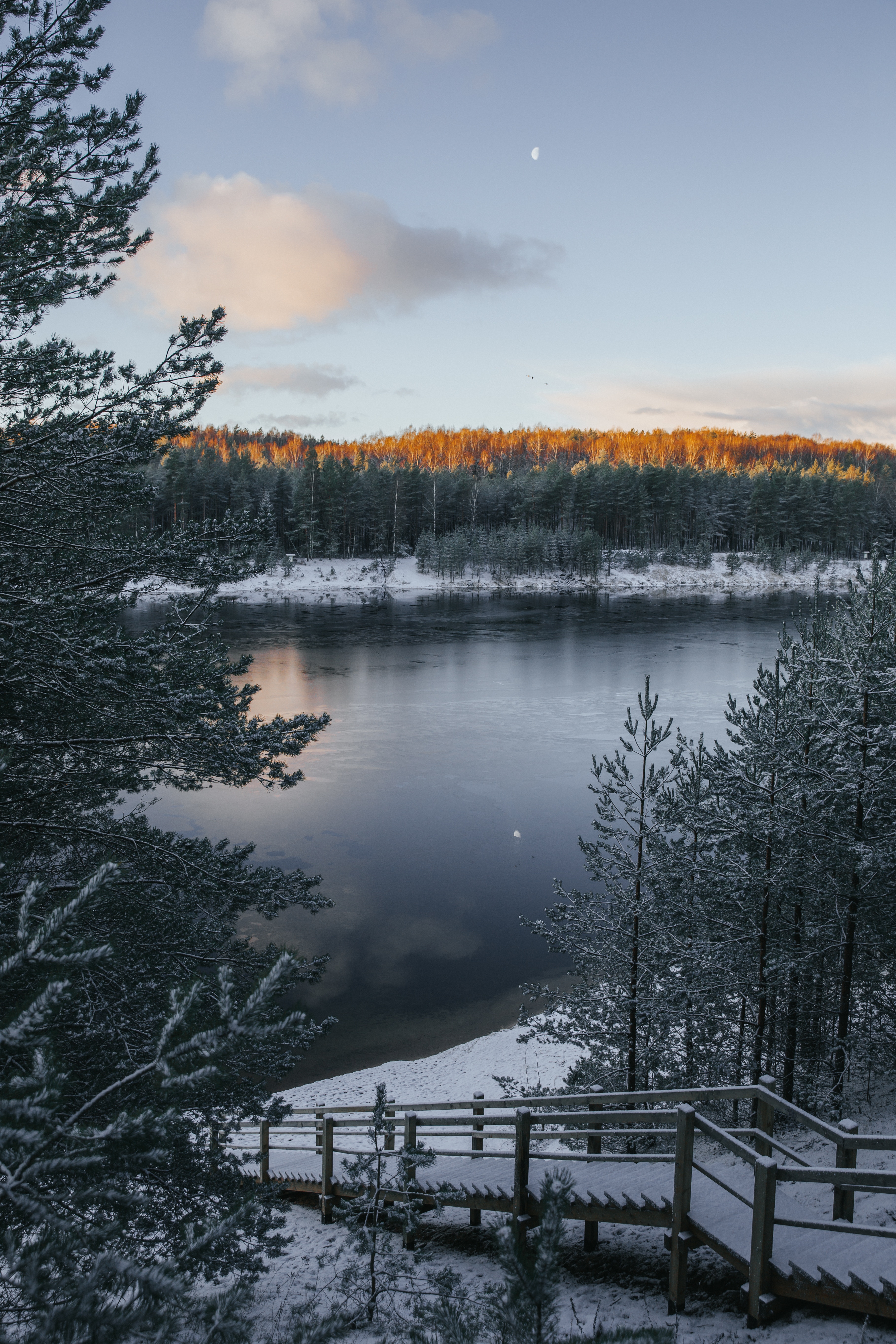 hoarfrost, winter landscape, nature, snow Phone Wallpaper