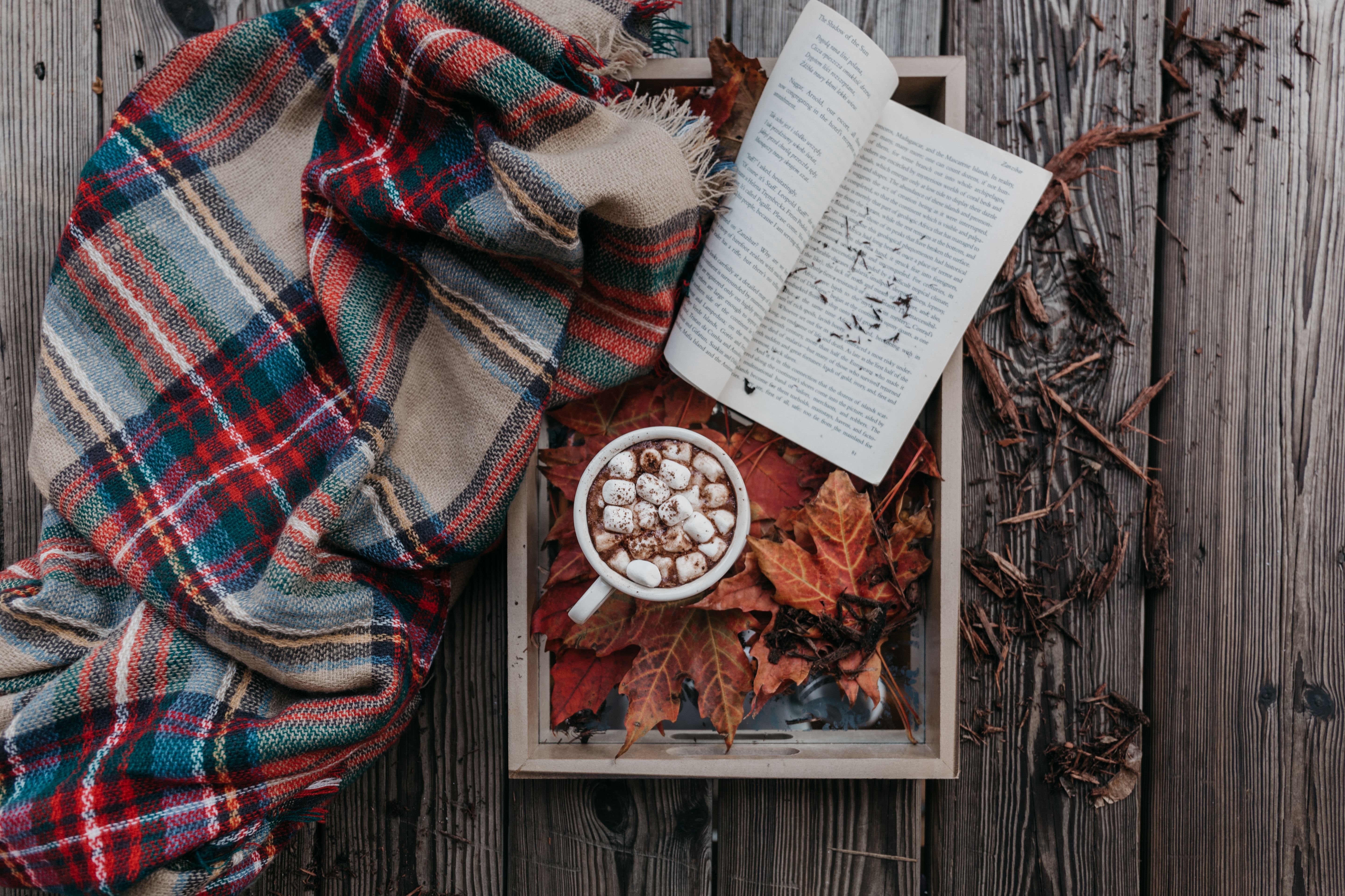 autumn, food, book, marshmallow, zephyr, cocoa, plaid Full HD