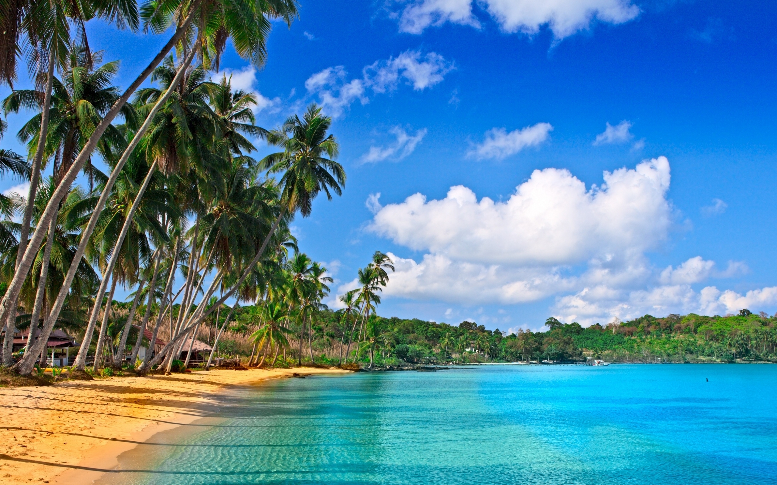 landscape, beach, blue 1080p pic