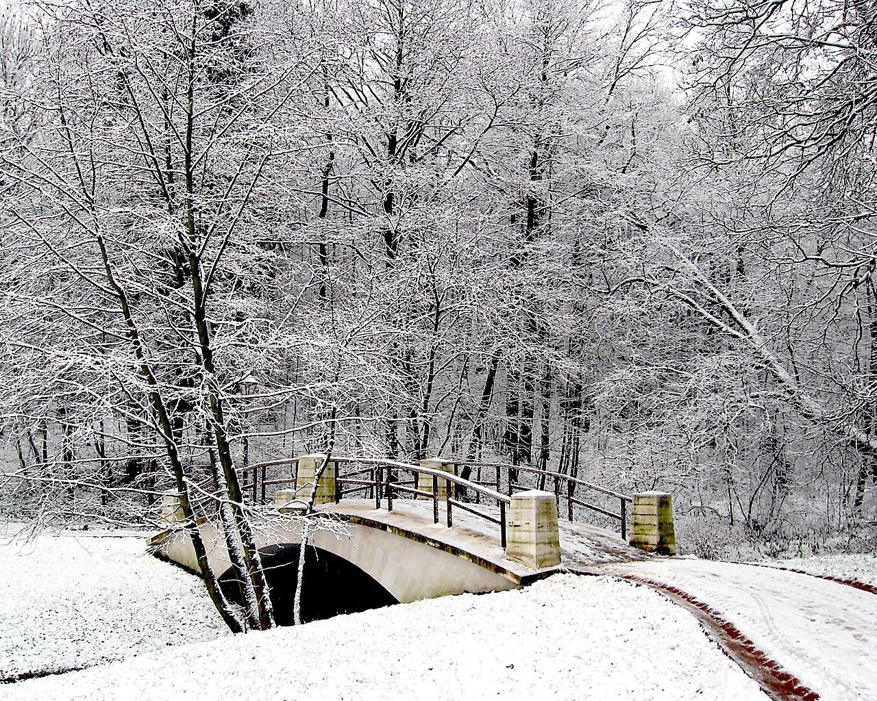 61167 Hintergrundbild herunterladen winter, natur, schnee, der park, park, brücke, frost, rauhreif - Bildschirmschoner und Bilder kostenlos