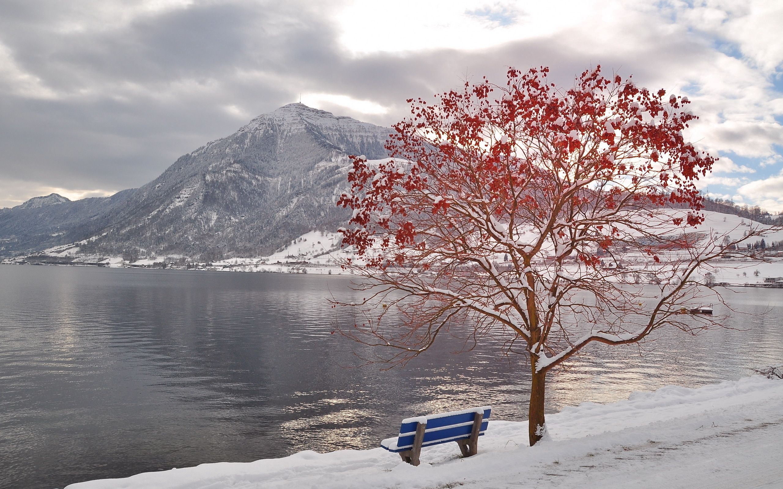 mountain, wood, autumn, leaves, nature, lake, tree, frost, bench, october
