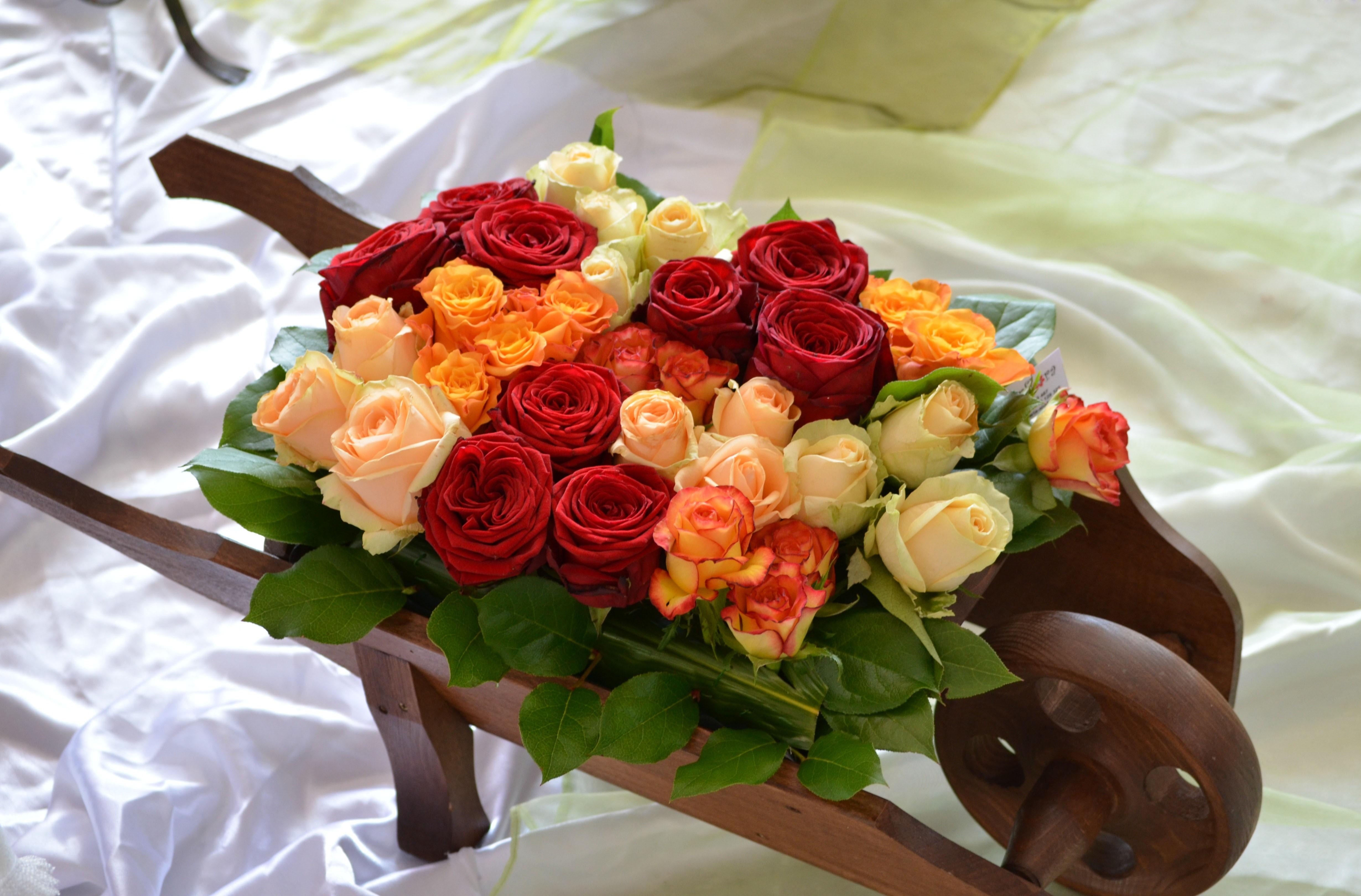 vertical wallpaper bed, flowers, roses, buds, note, different, cart