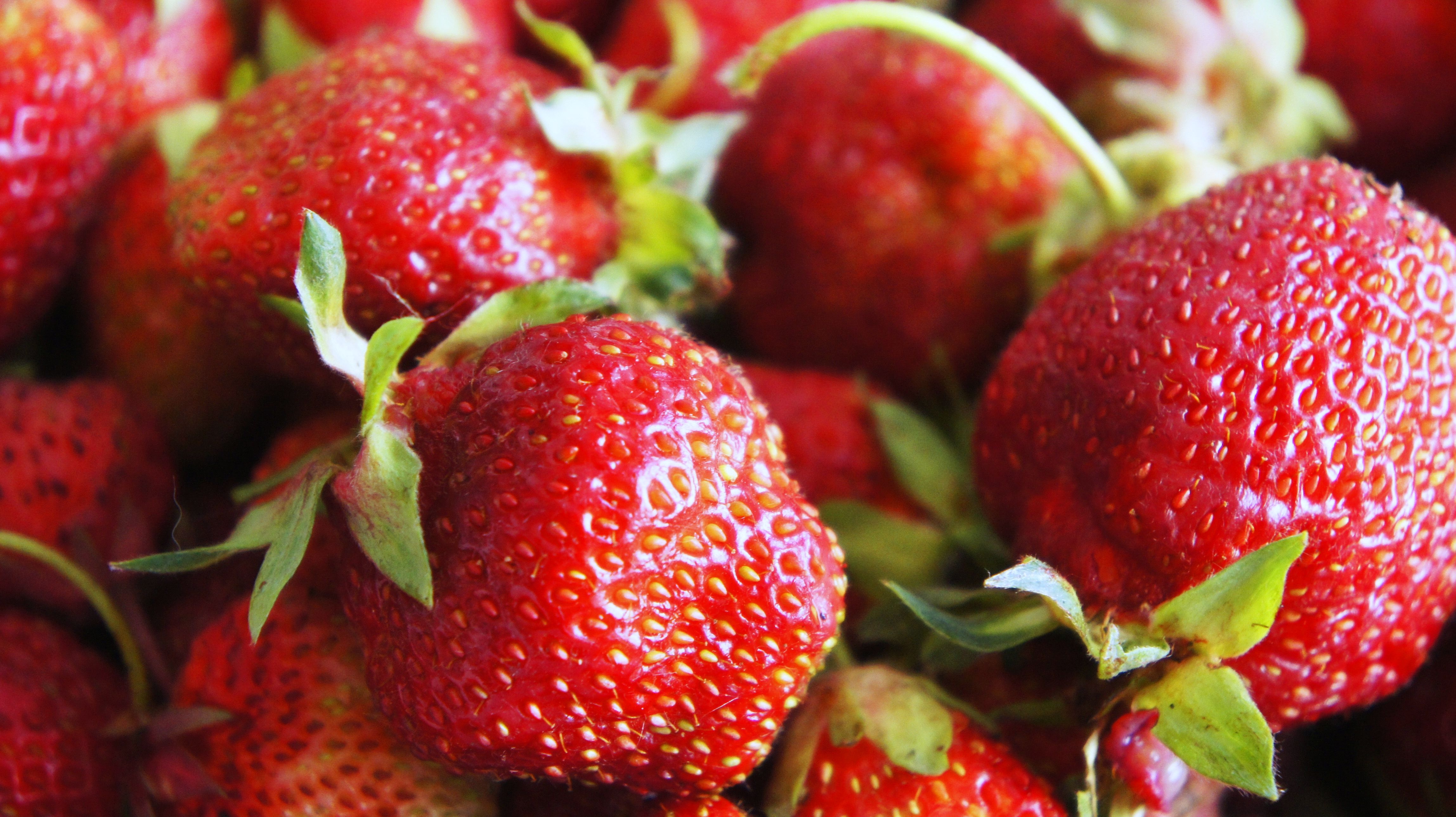 Laden Sie das Lebensmittel, Erdbeere, Süß, Süss, Beere-Bild kostenlos auf Ihren PC-Desktop herunter
