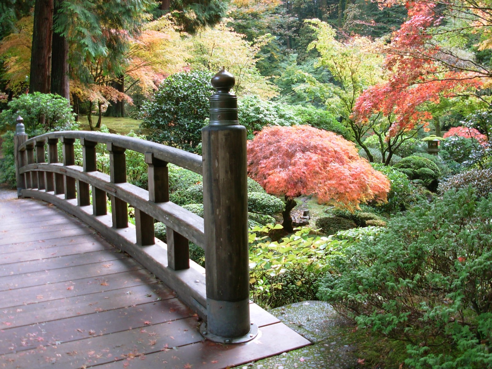 521279 免費下載壁紙 人造, 桥, 花园, 日本, 树, 桥梁 屏保和圖片
