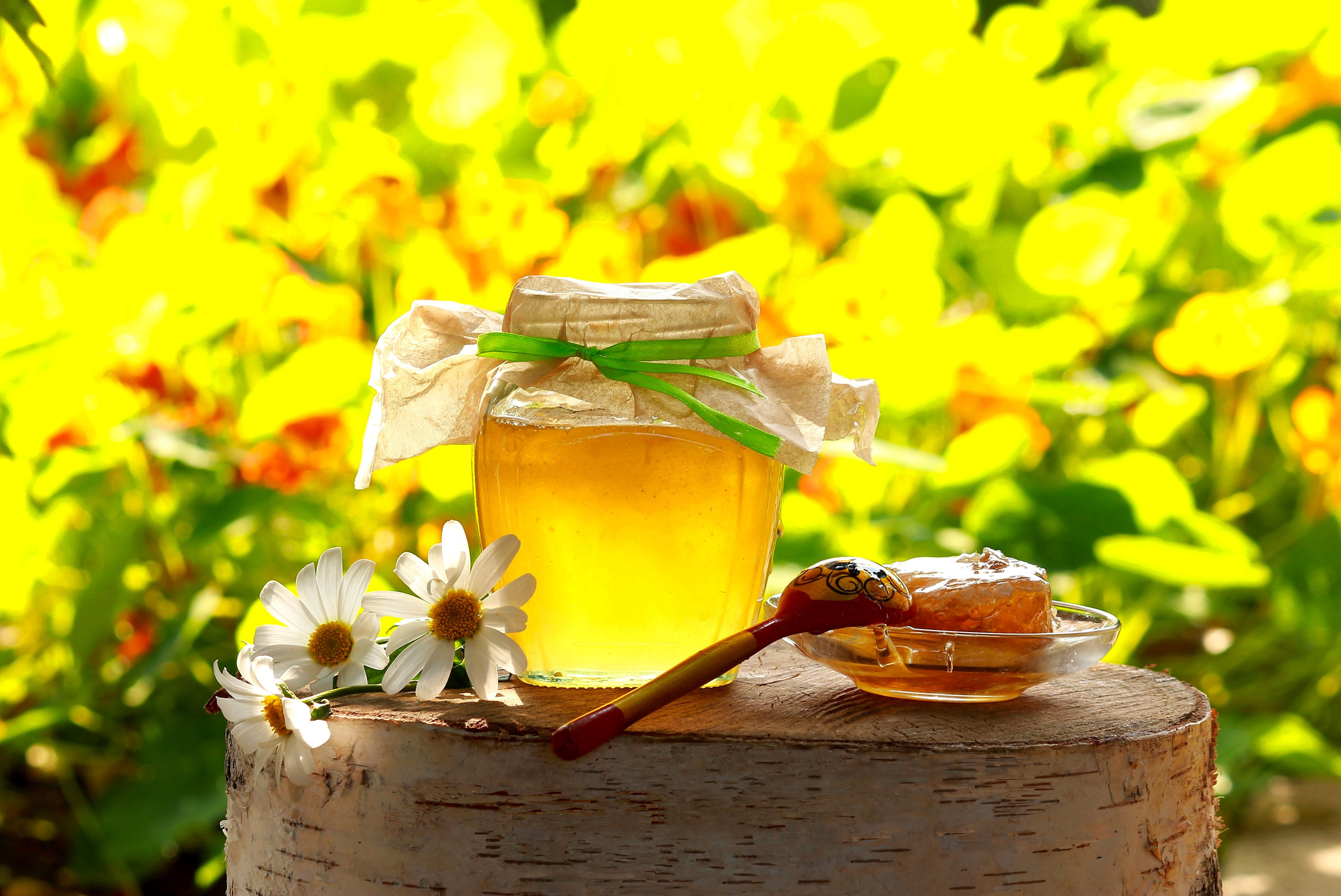 Картинки на тему мед