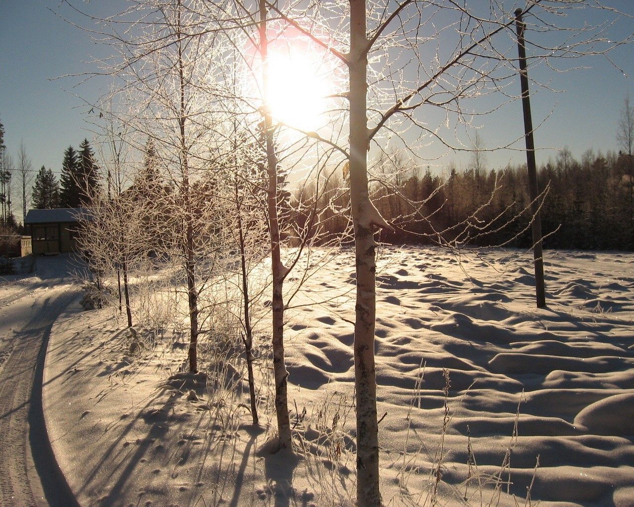 QHD wallpaper sun, snow, nature, row