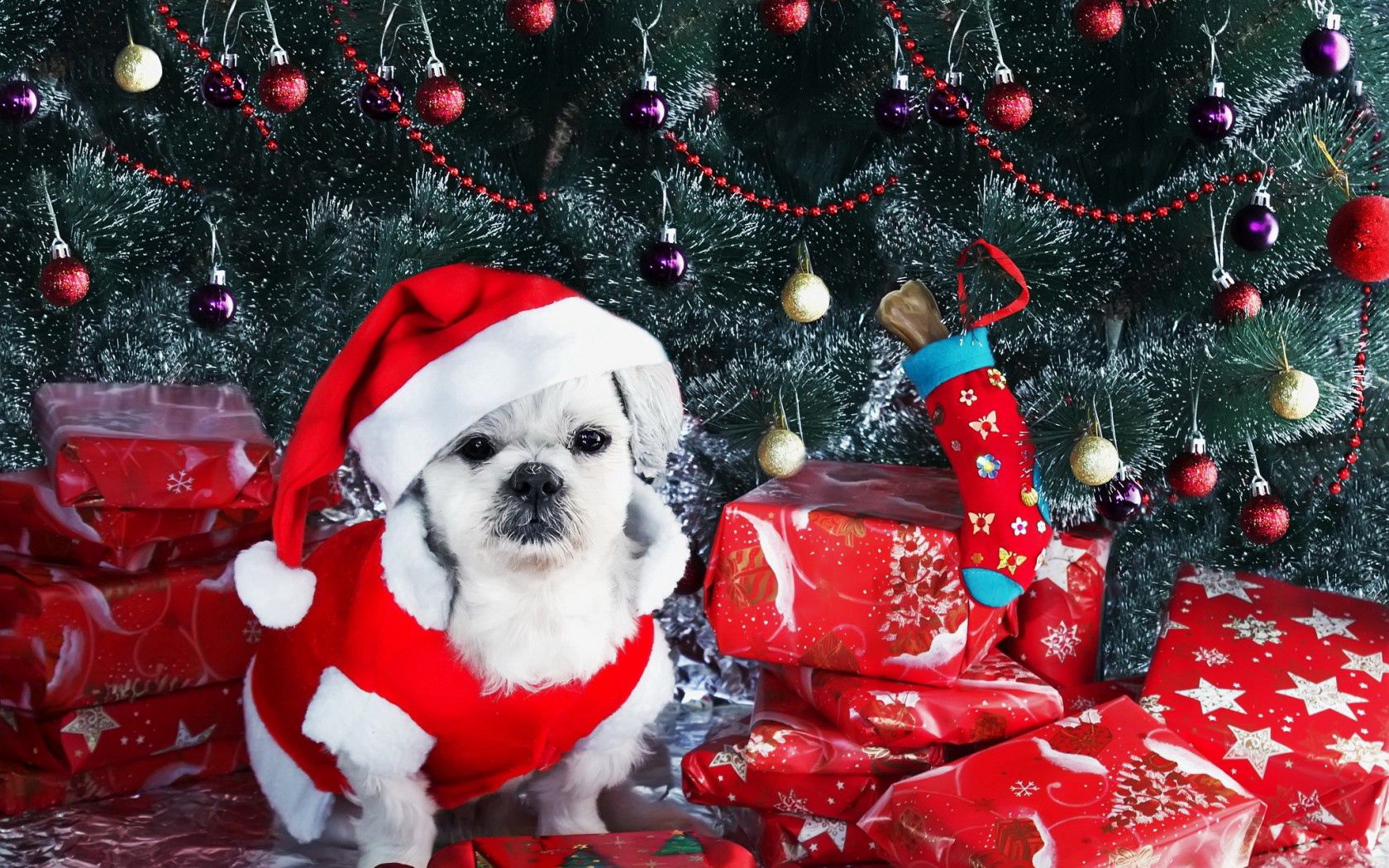 122357 Hintergrundbild herunterladen weihnachtsbaum, feiertage, neujahr, dekoration, hund, neues jahr, die geschenke, geschenke - Bildschirmschoner und Bilder kostenlos