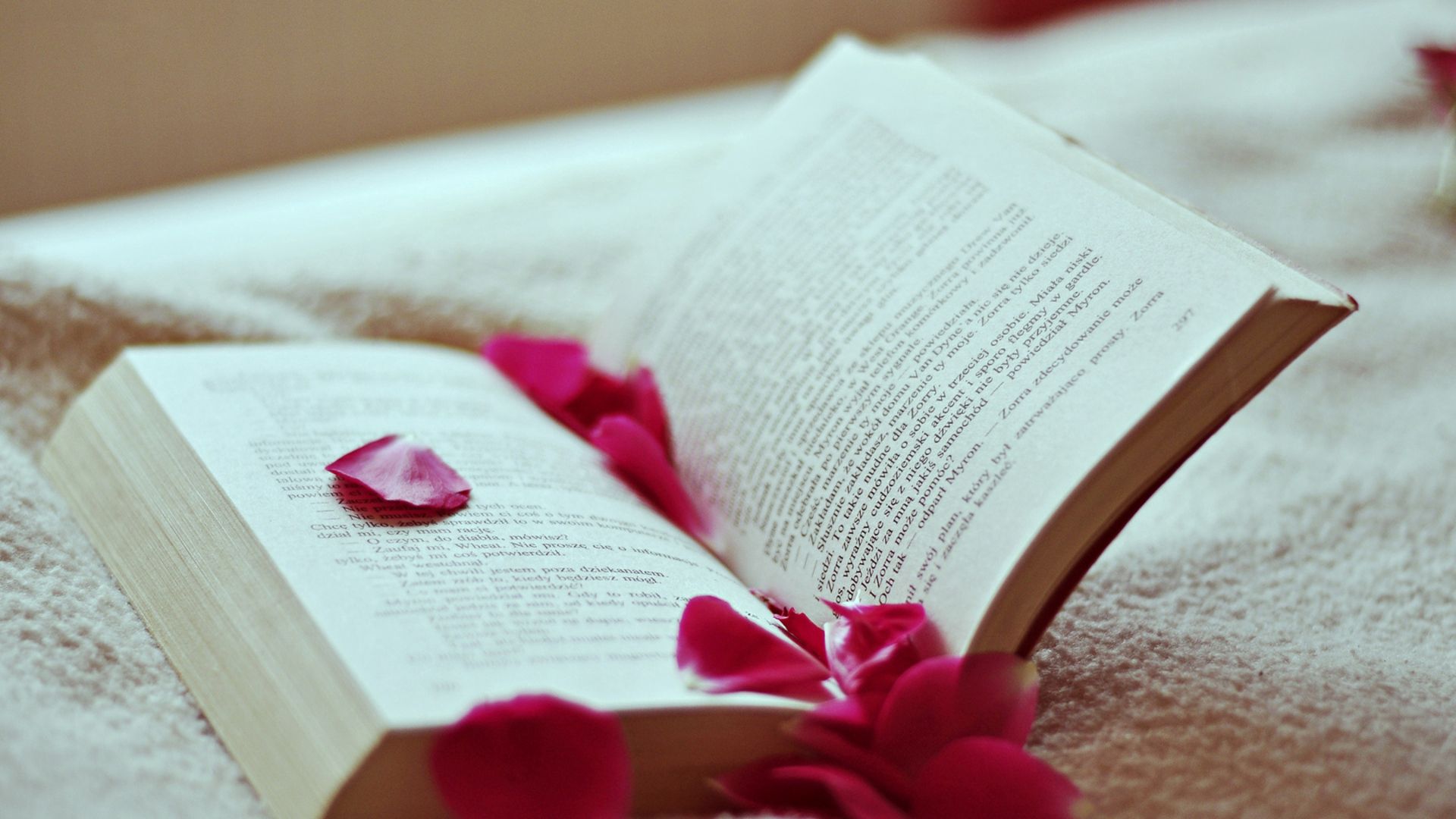 Reading miscellaneous, book, rose flower, petals 4k Wallpaper