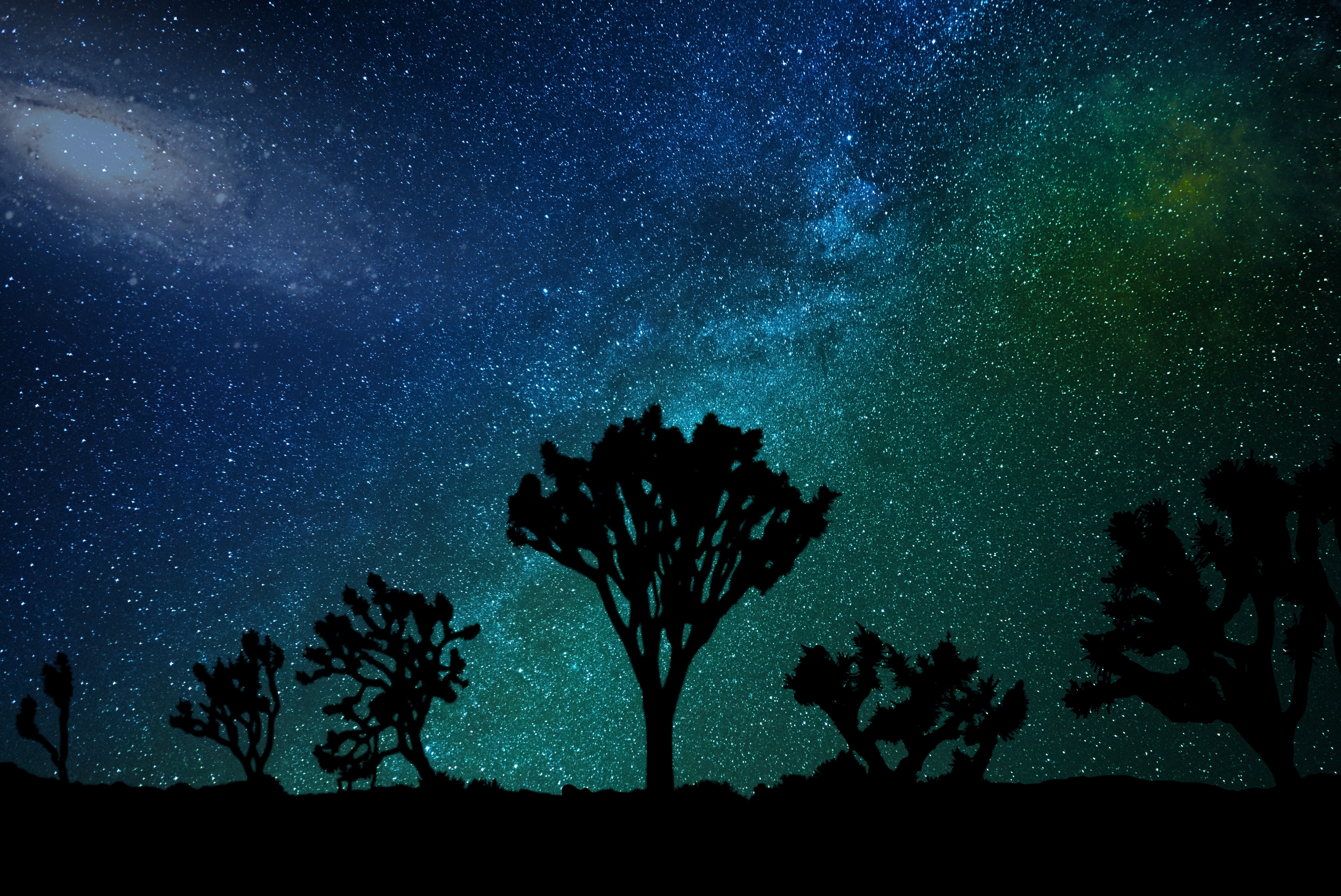 Wallpaper for mobile devices nature, joshua tree, starry sky