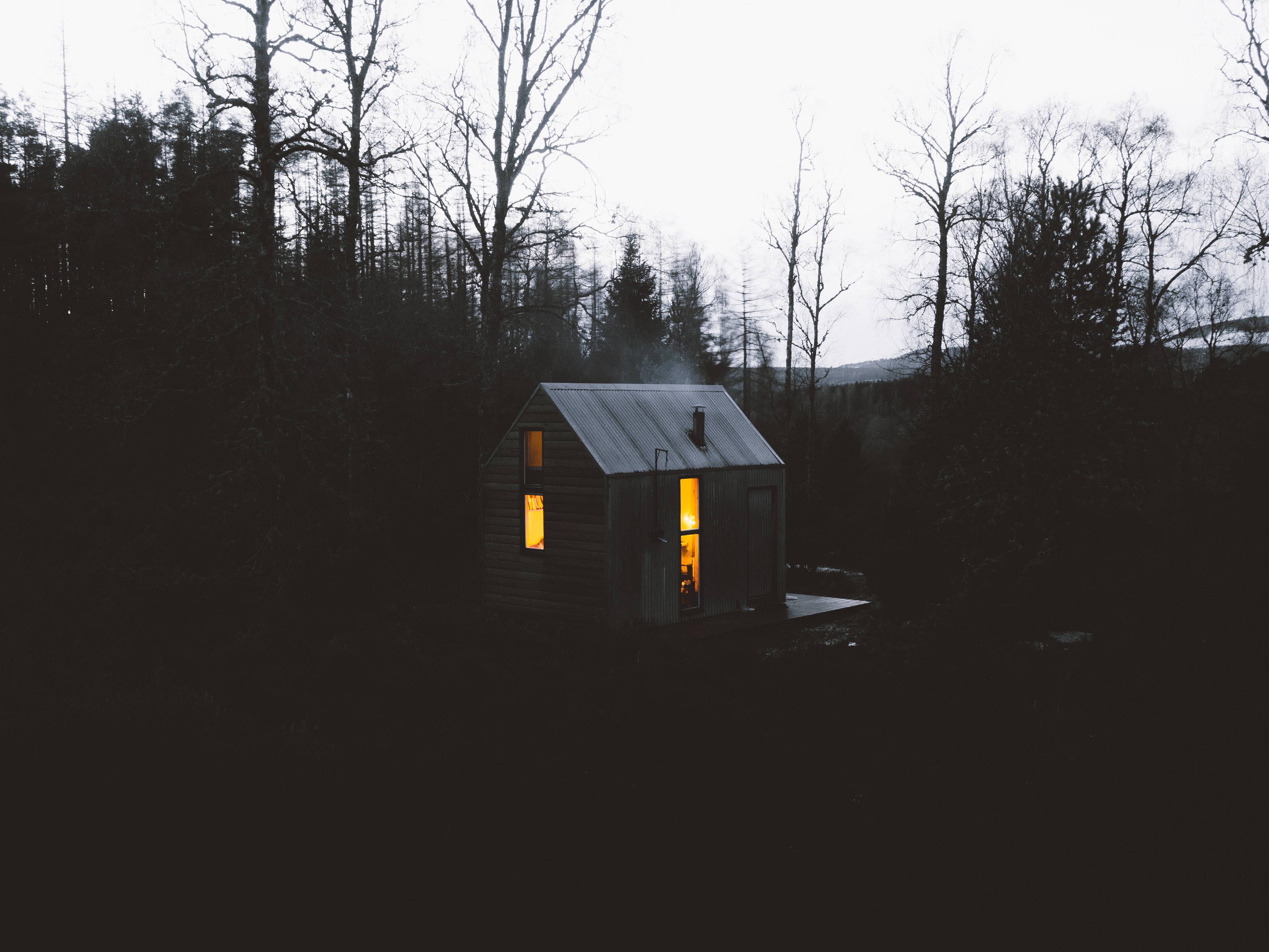 dark, shine, light, forest, small house, lodge, national park, ballater