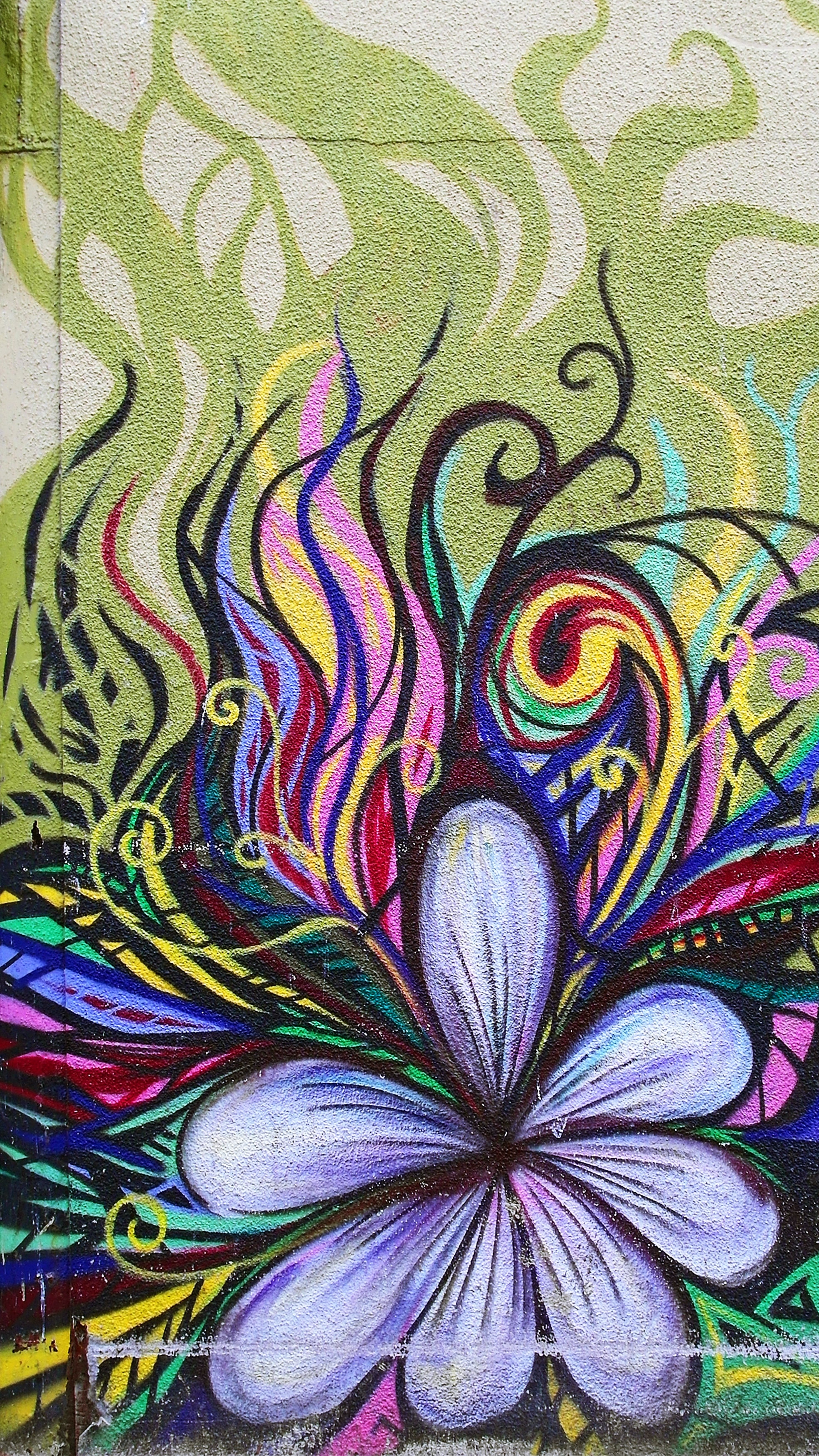 Handy-Wallpaper Blume, Textur, Texturen, Wand, Graffiti, Wandgemälde, Wandbild kostenlos herunterladen.
