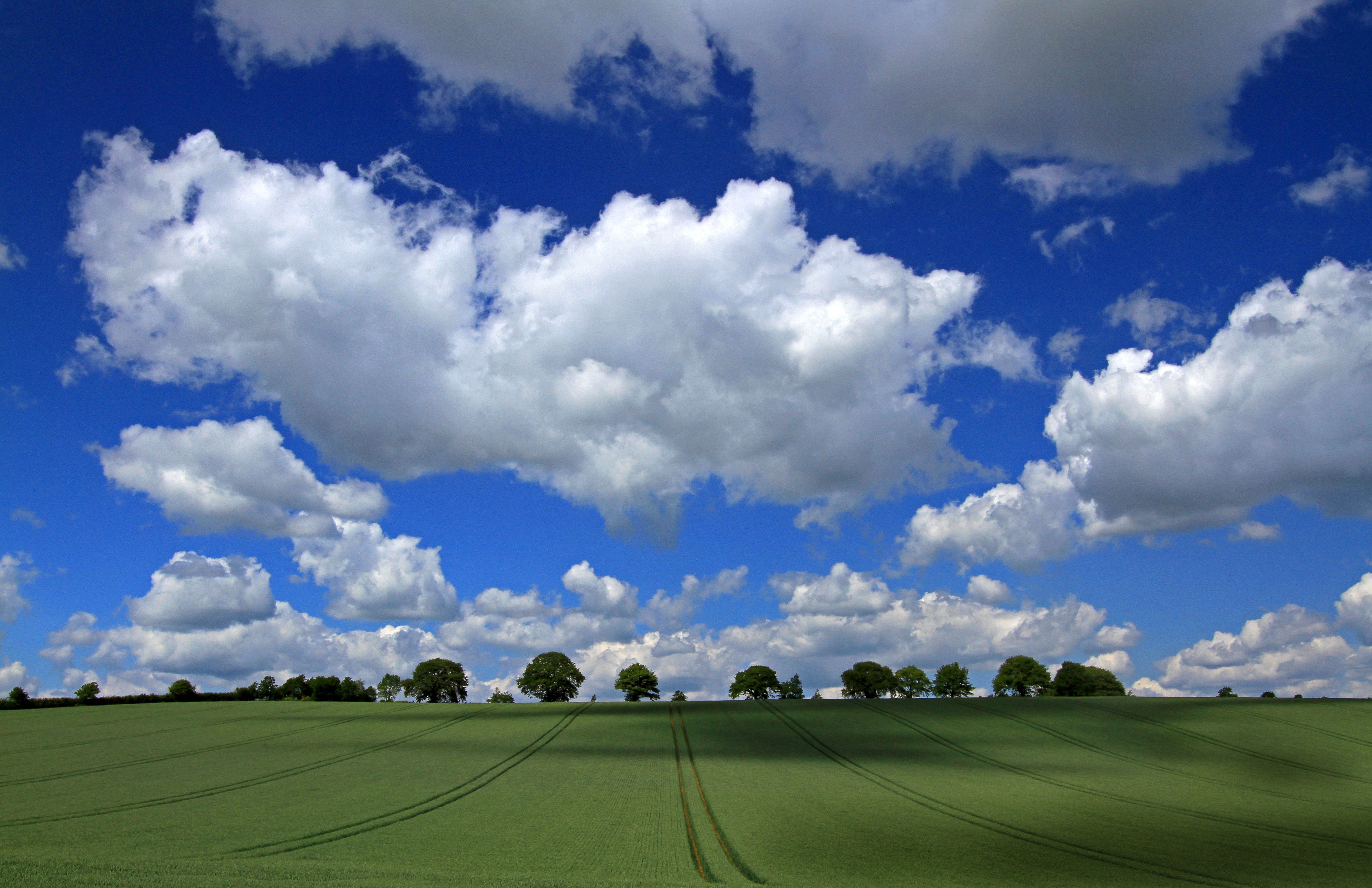 Mobile HD Wallpaper Sky earth, cloud, field, tree