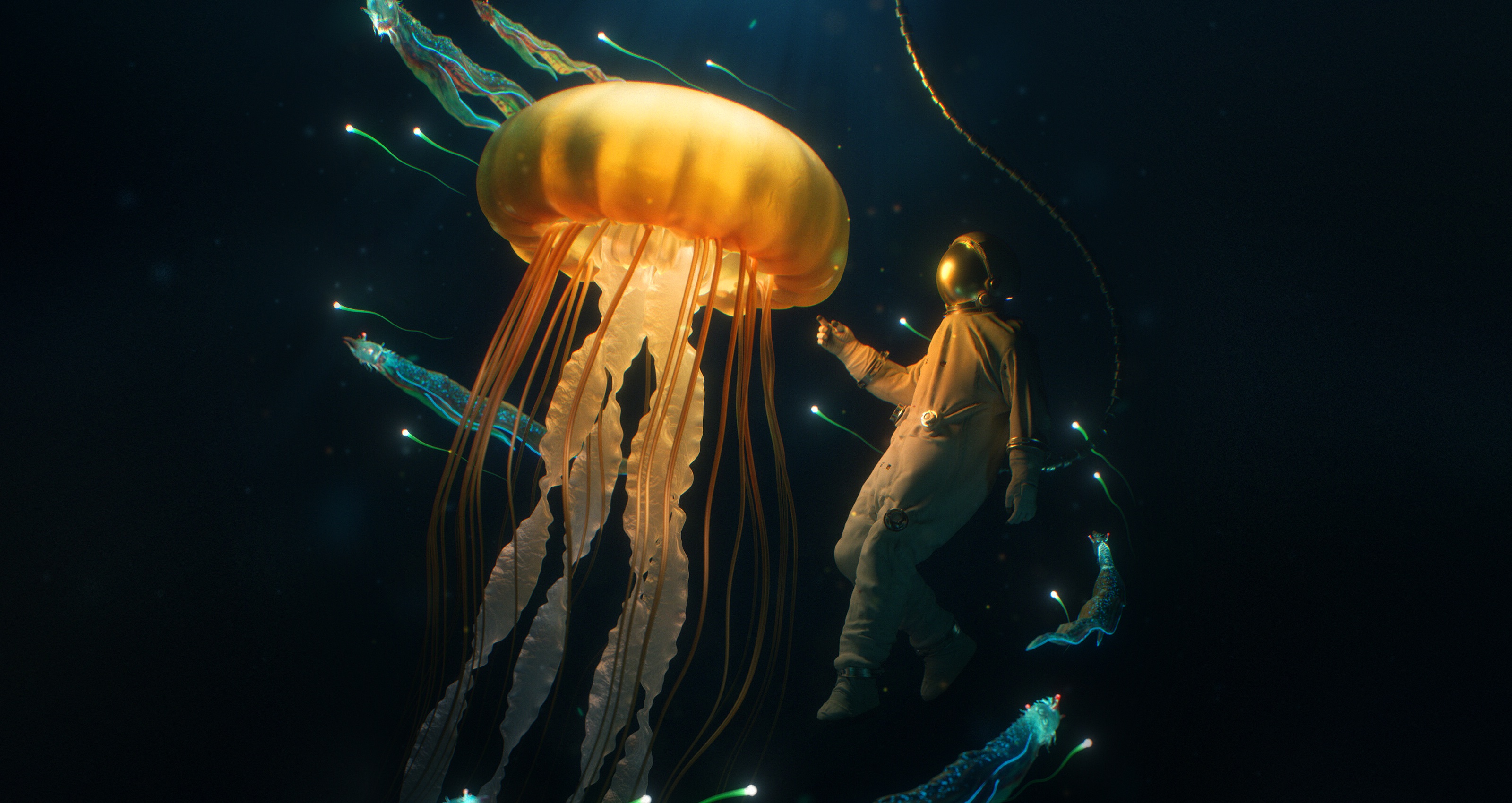 fantasy, underwater, diver, jellyfish