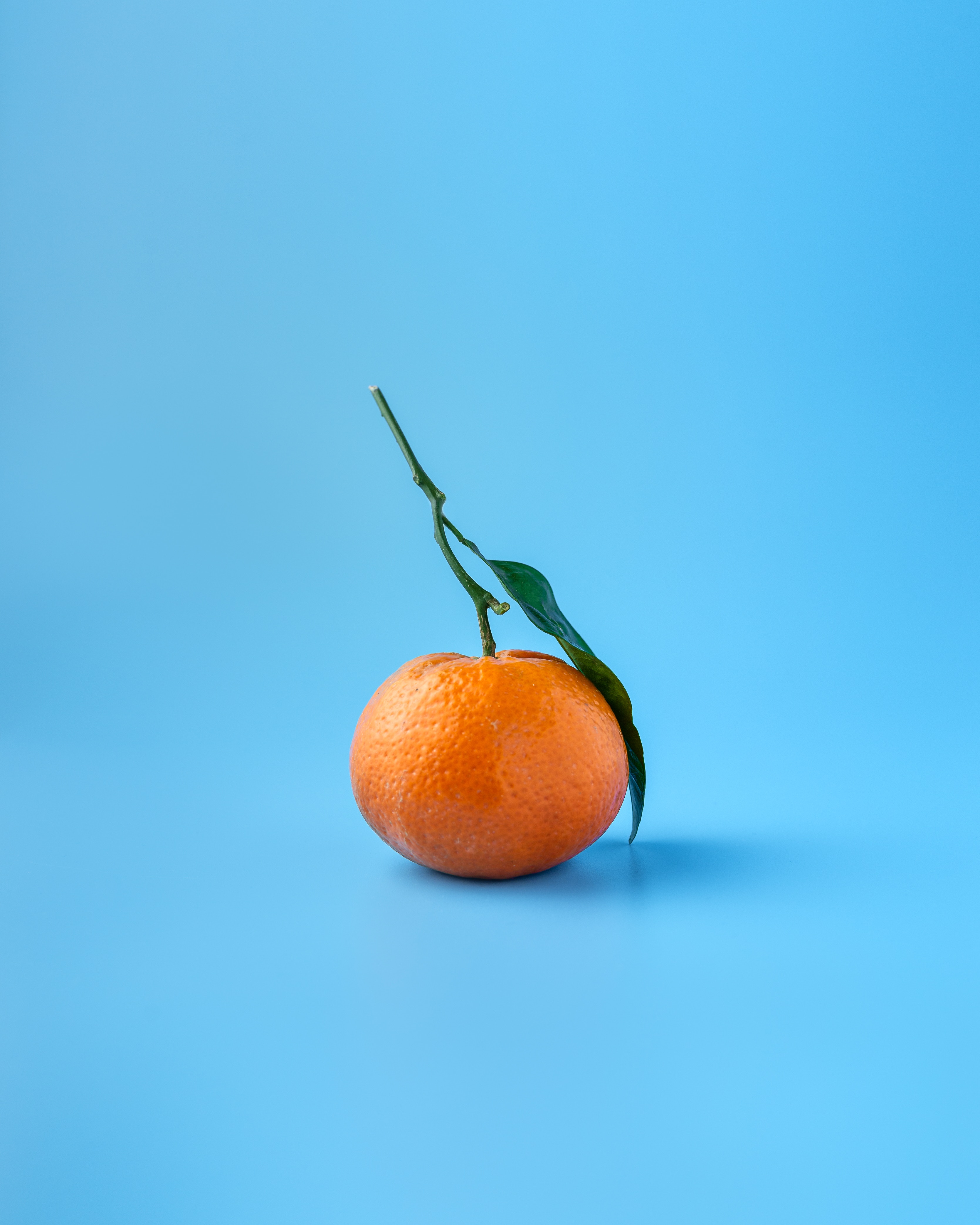 107679 Bild herunterladen blau, orange, minimalismus, die frucht, frucht, zitrusfrüchte, zitrus, tangerine, mandarin - Hintergrundbilder und Bildschirmschoner kostenlos