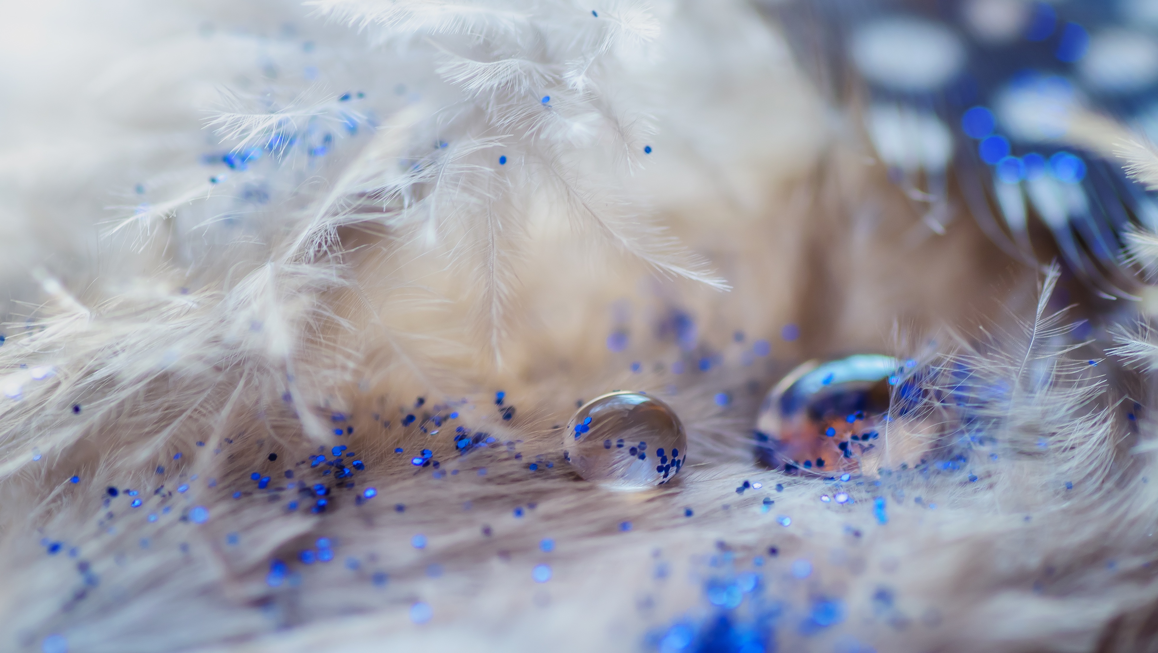 android drops, tinsel, sequins, decoration, macro, feather