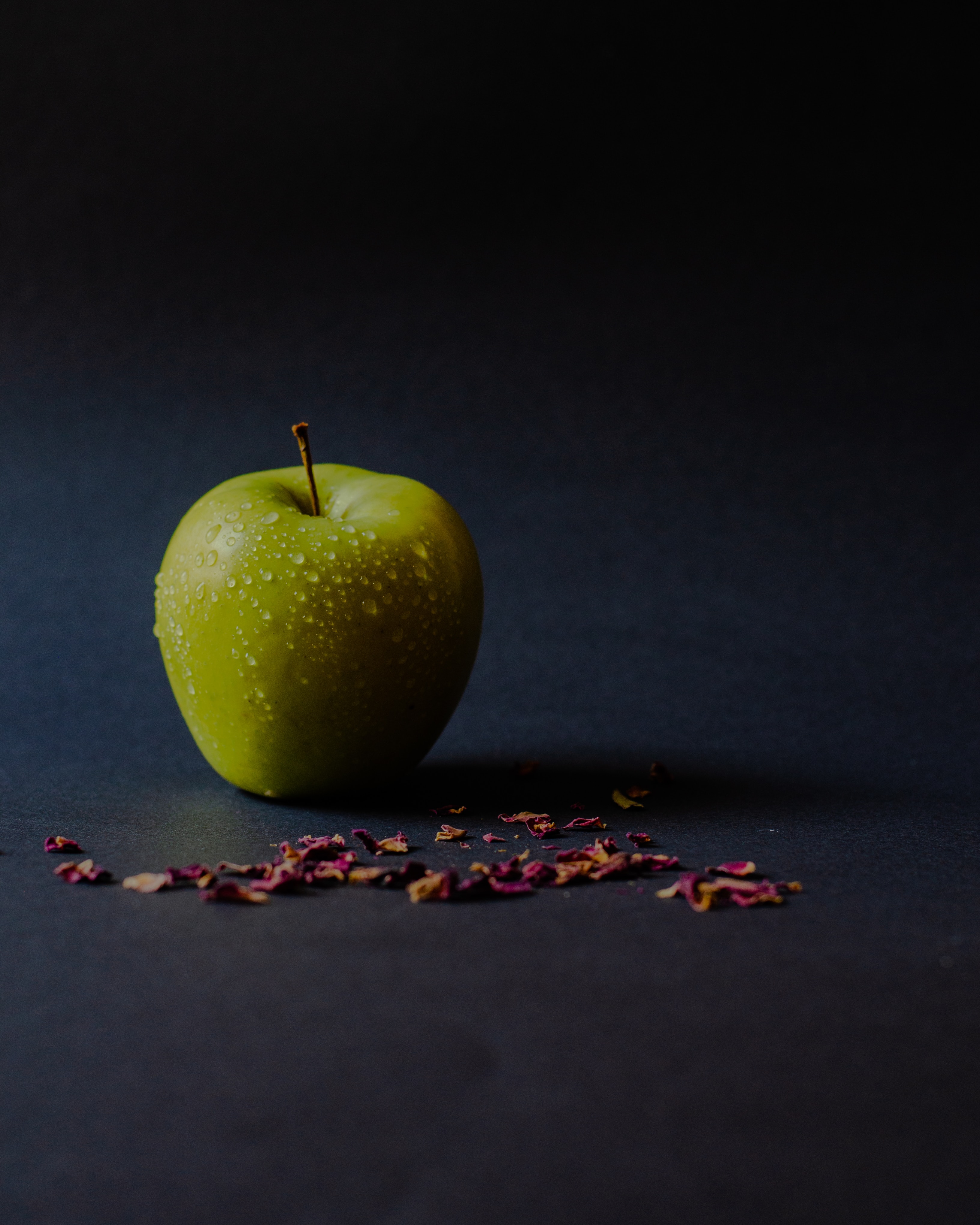 127382 Screensavers and Wallpapers Apple for phone. Download food, apple, green, petals, wet, ripe pictures for free