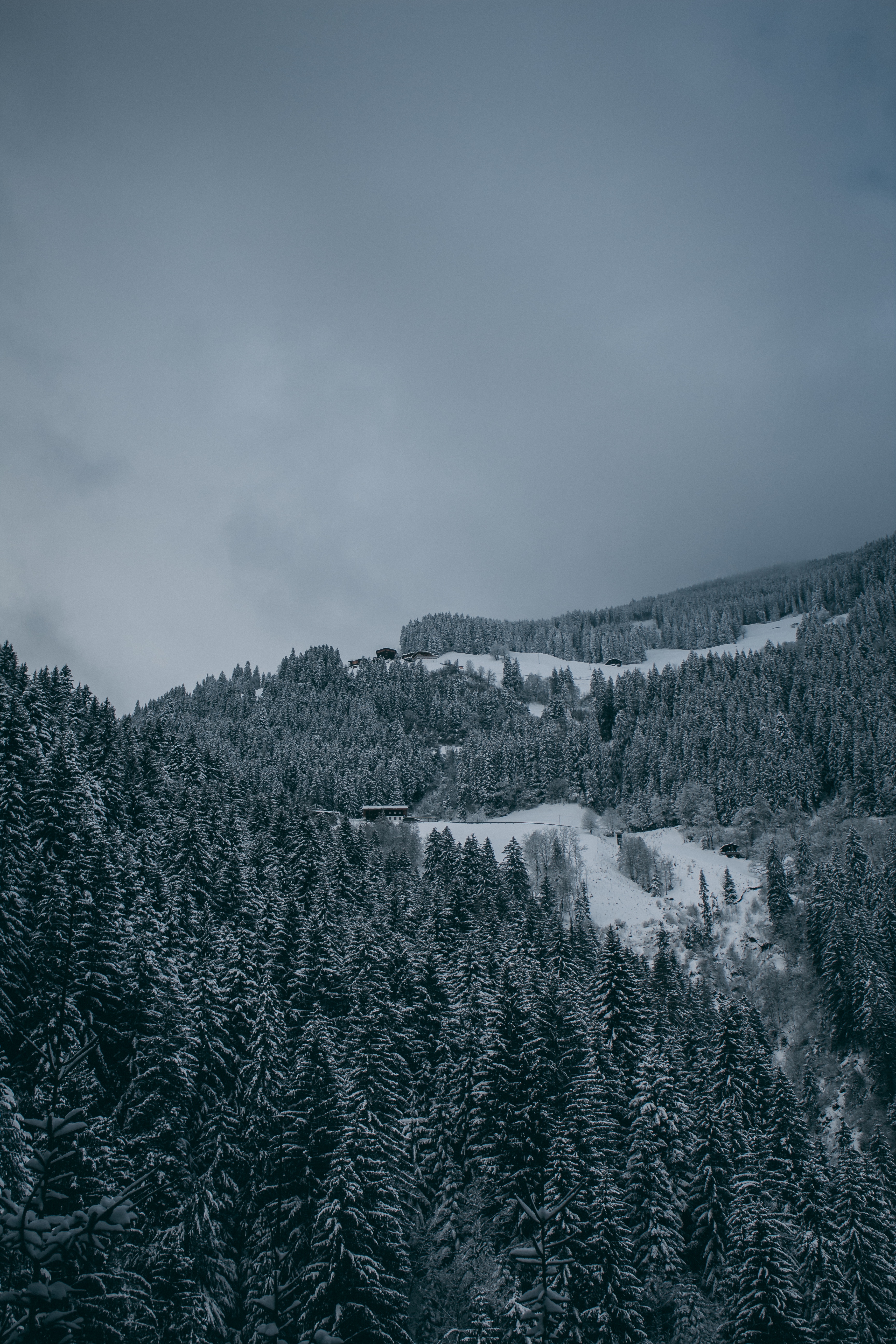 155720 Hintergrundbilder und Snowbound Bilder auf dem Desktop. Laden Sie schneebedeckt, blick von oben, bäume, winter Bildschirmschoner kostenlos auf den PC herunter