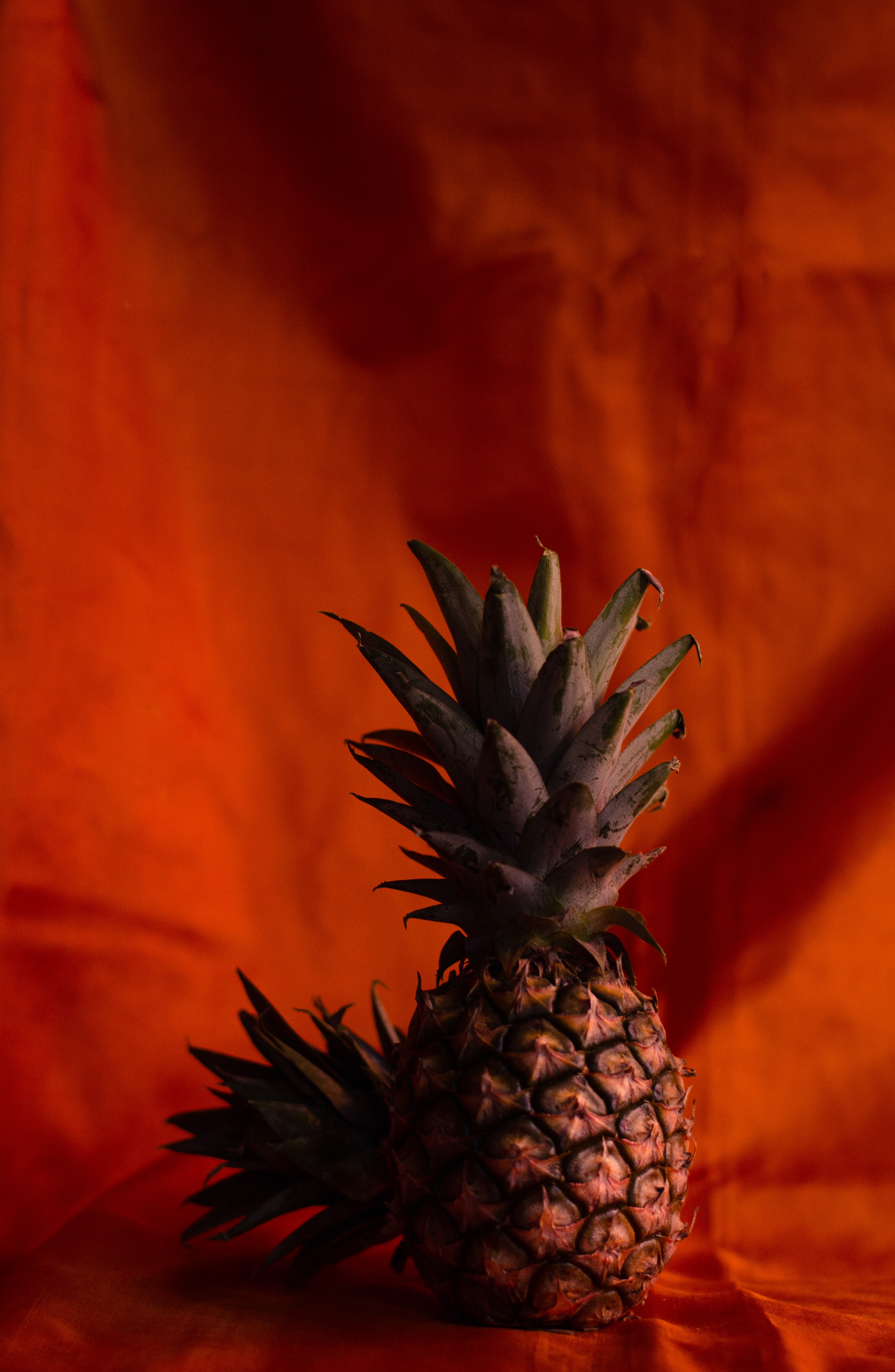 152574 Bild herunterladen obst, lebensmittel, ananas, braun, tropisch, tropischen - Hintergrundbilder und Bildschirmschoner kostenlos