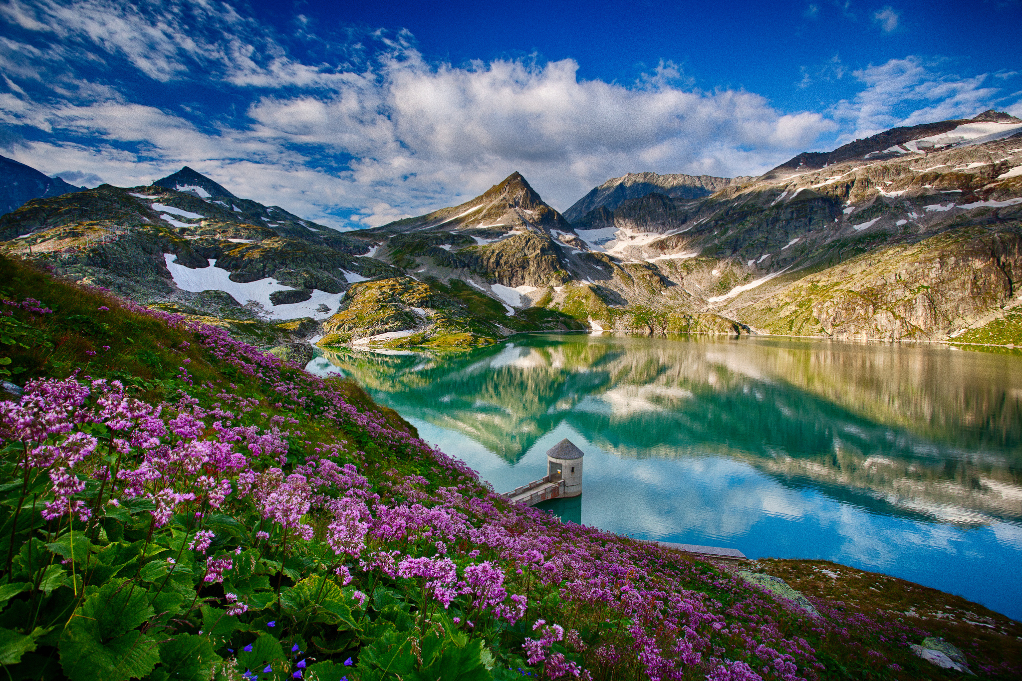 vegetation, nature, photography, reflection, cloud, flower, lake, landscape, mountain, scenery, water download HD wallpaper