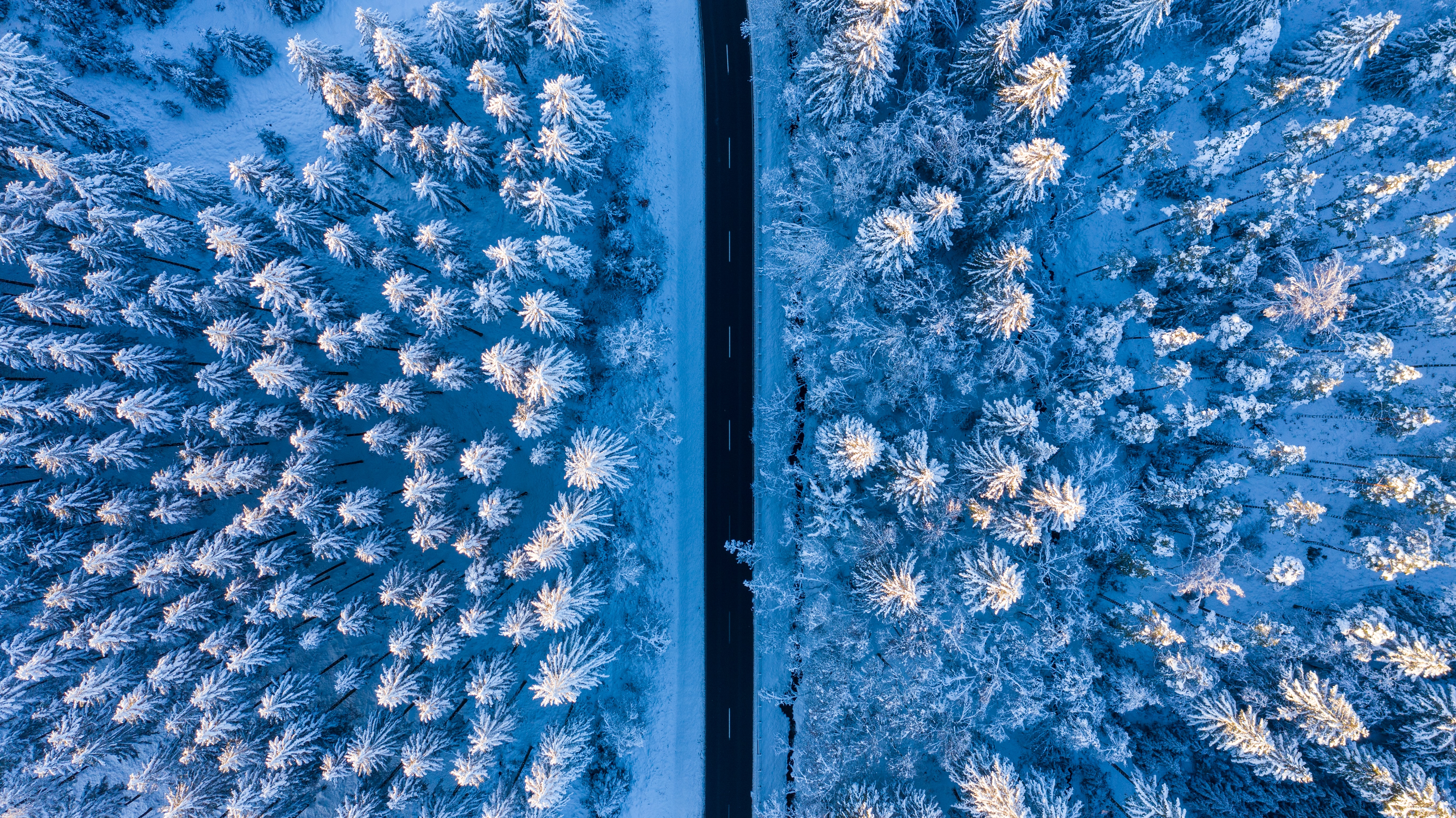 PC Wallpapers road, snow, nature, forest View From Above